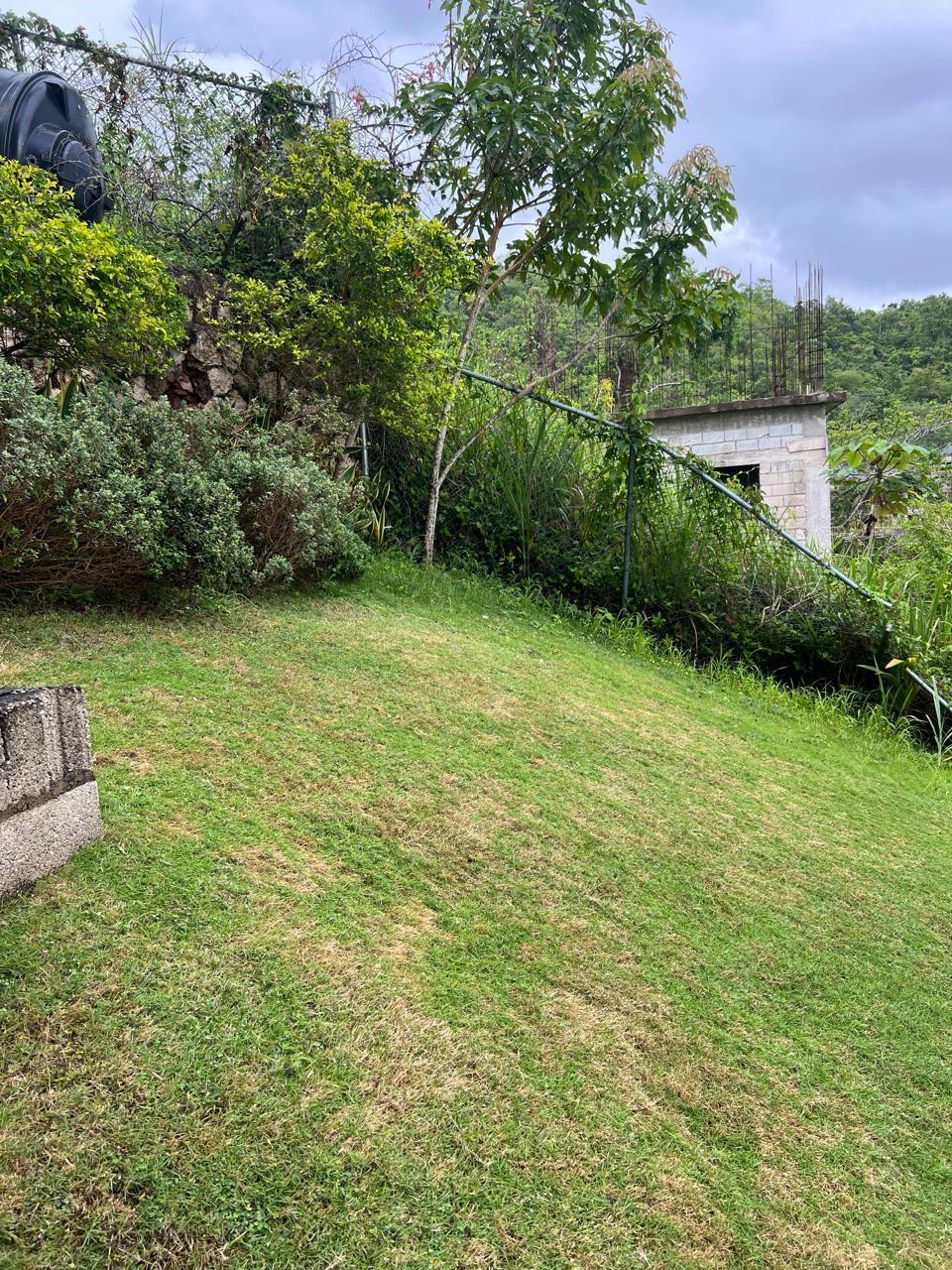 Apartment For Rent: POWELL CLOSE, Red Hills | $170,000 photo 9