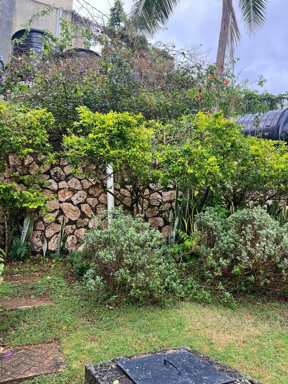 Apartment For Rent: POWELL CLOSE, Red Hills | $170,000 photo 10