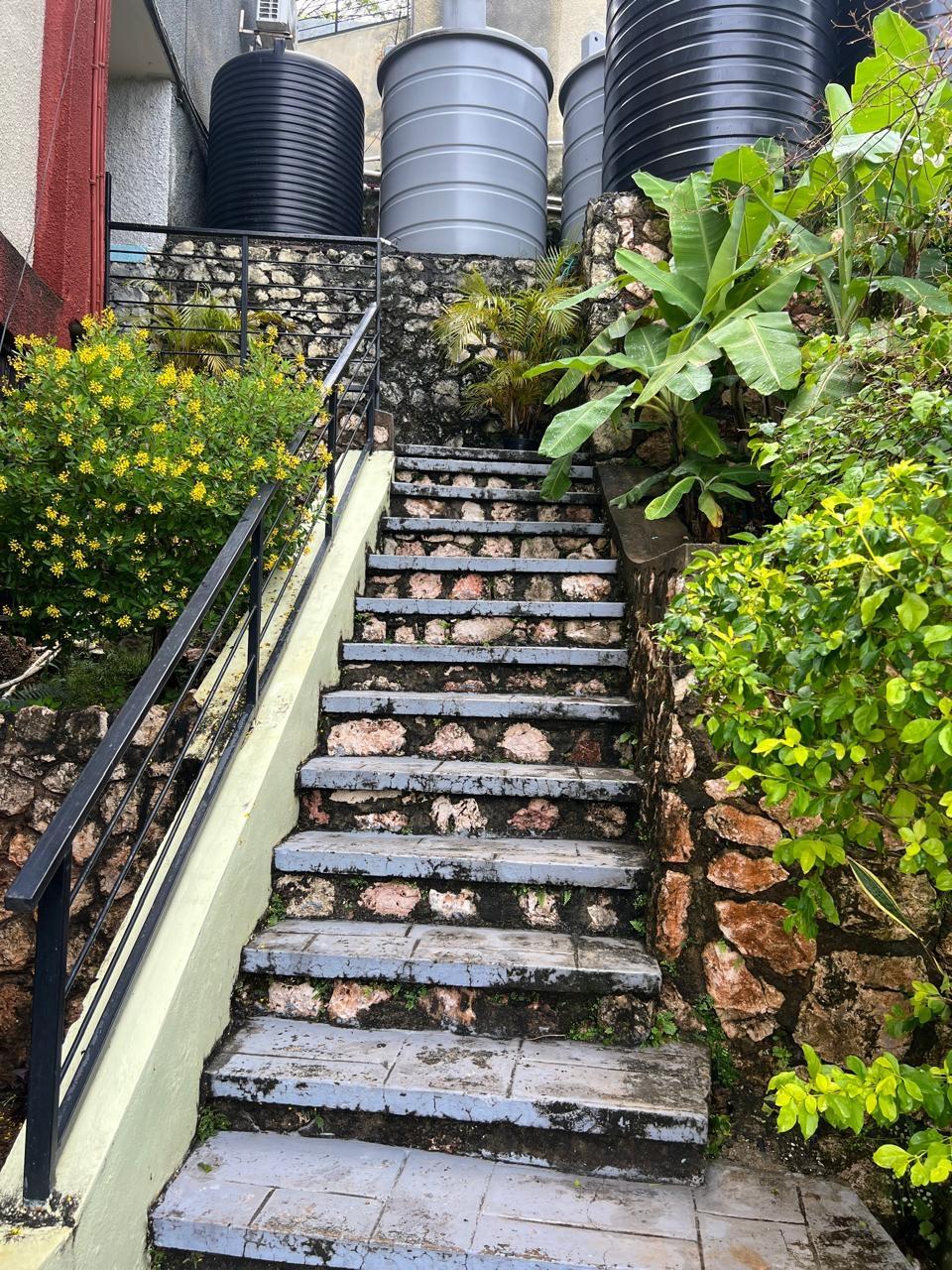 Apartment For Rent: POWELL CLOSE, Red Hills | $170,000 photo 13