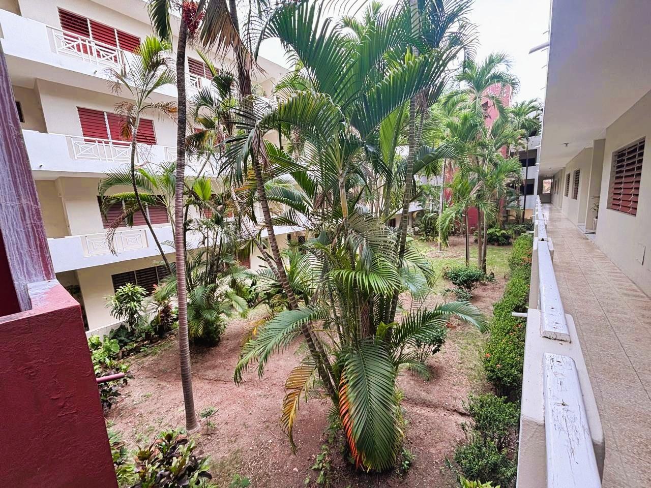 Apartment For Rent: HILLMAN ROAD, Kingston 8 | $175,000 photo 15