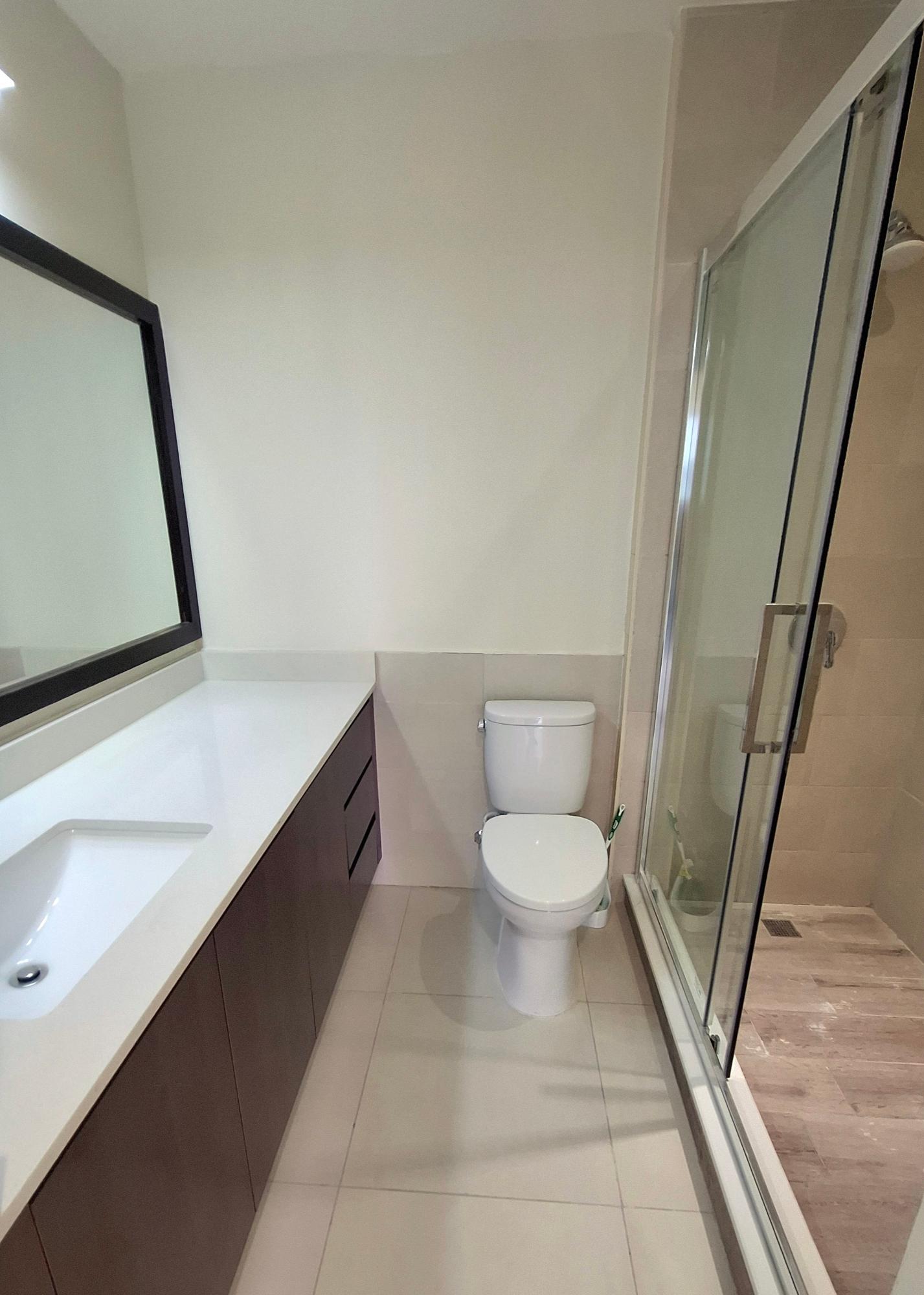 Apartment For Rent: MUSGRAVE, Kingston 5 | $250,000 photo 10
