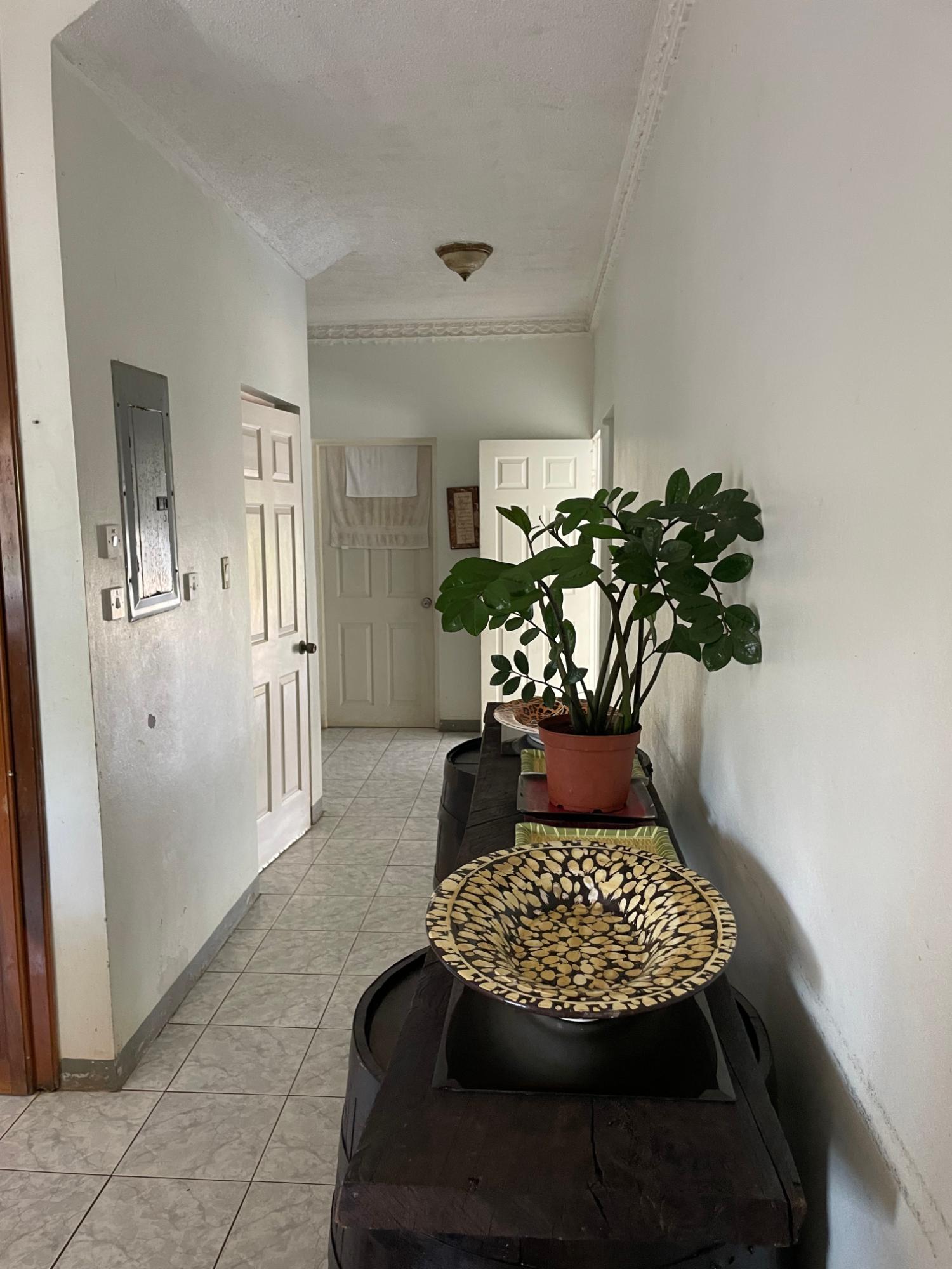House For Sale: COLLEGE VIEW WAY, M/VILLE, Mandeville | $49,000,000 photo 14