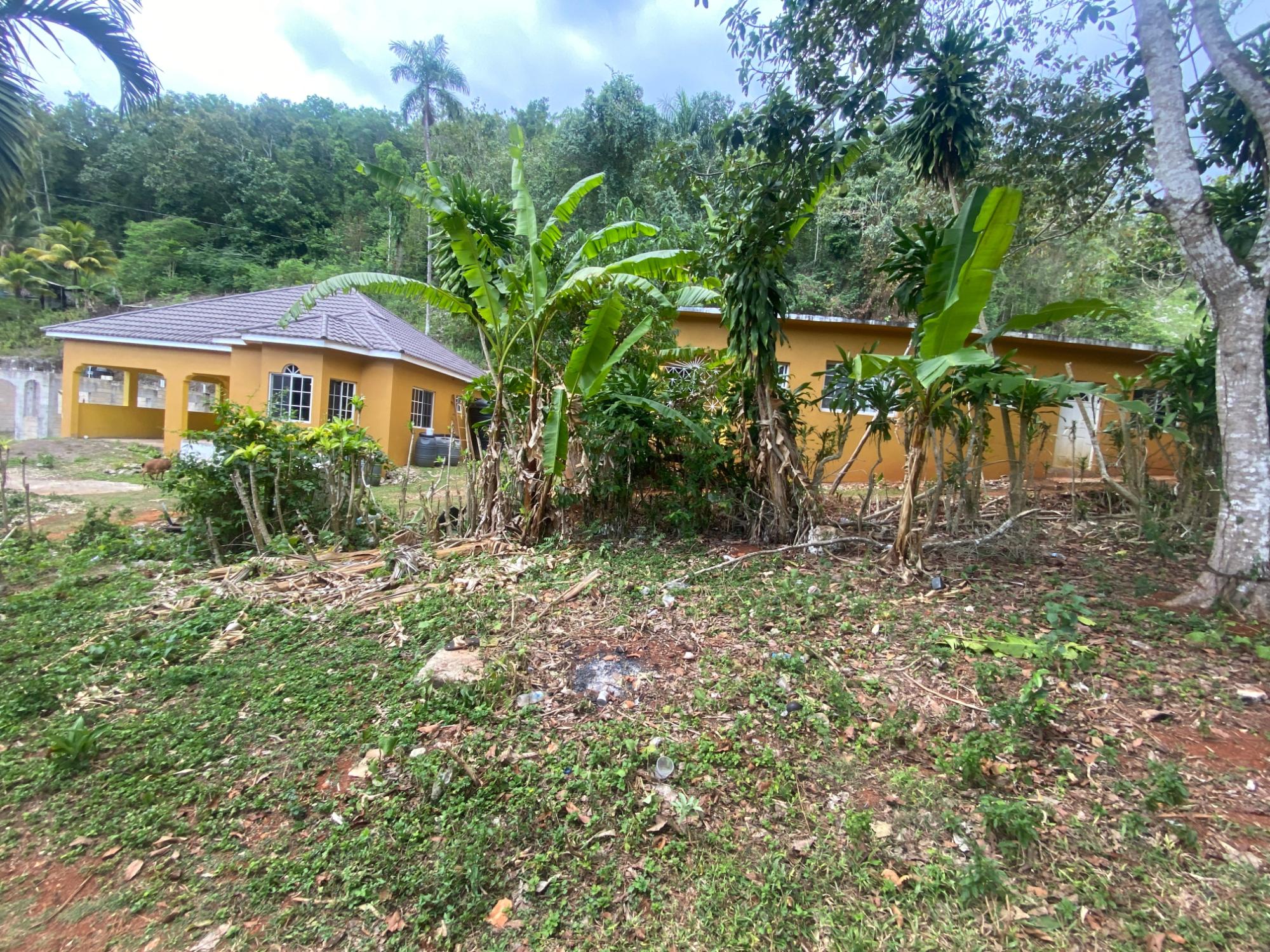House For Sale: MONEAGUE, ST.ANN, Moneague | $57,000,000 photo 2