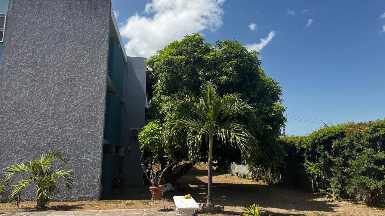Apartment For Rent: ACADIA COURT, CENTRE STRI, Kingston 6 | $170,000 photo 8