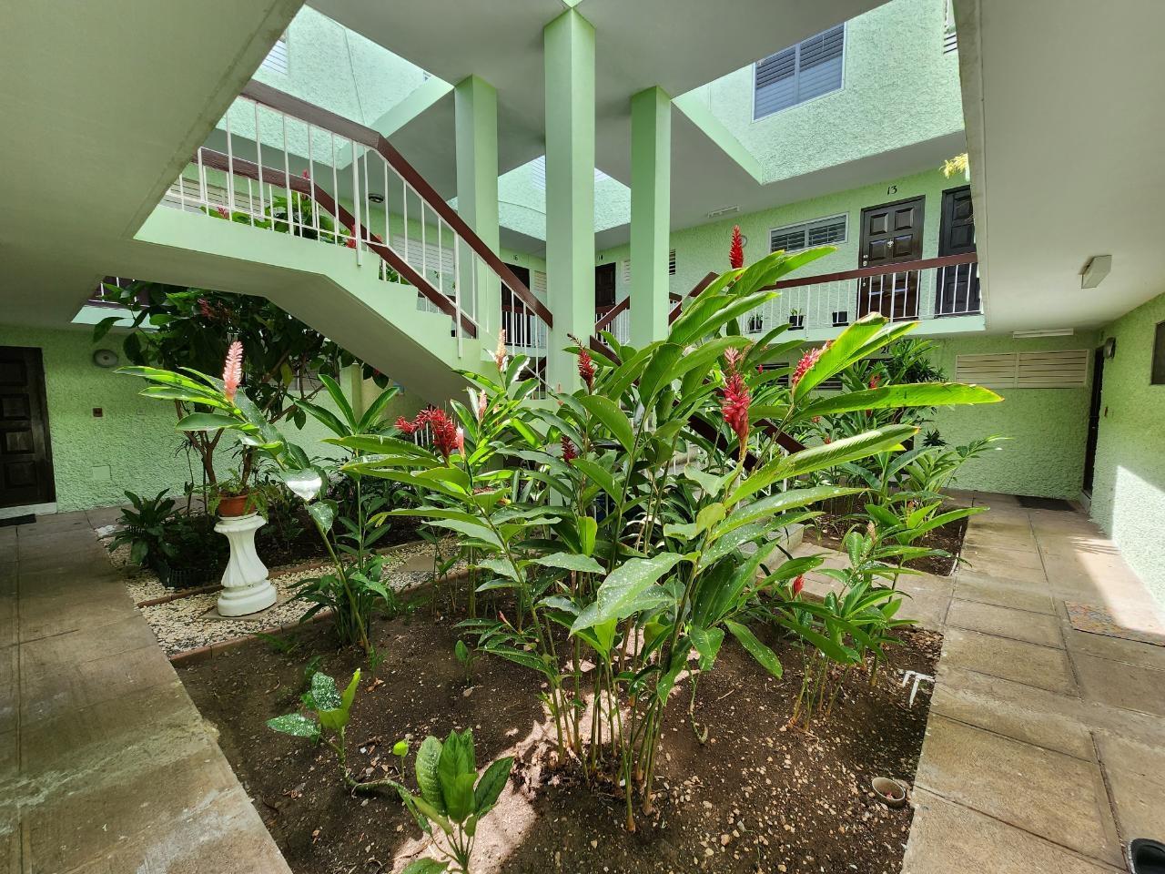 Apartment For Rent: CLIEVEDEN AVENUE, Kingston 6 | $150,000 photo 17