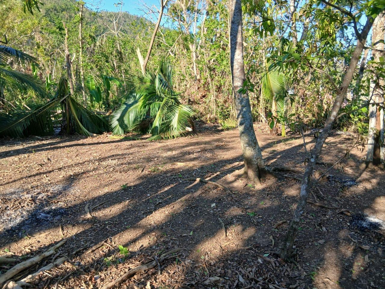 House For Sale: DELVELAND WESTMORELAND, Delve Bridge | $45,000 photo 4