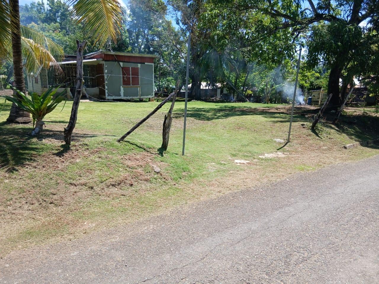 House For Sale: DELVELAND WESTMORELAND, Delve Bridge | $45,000 photo 11
