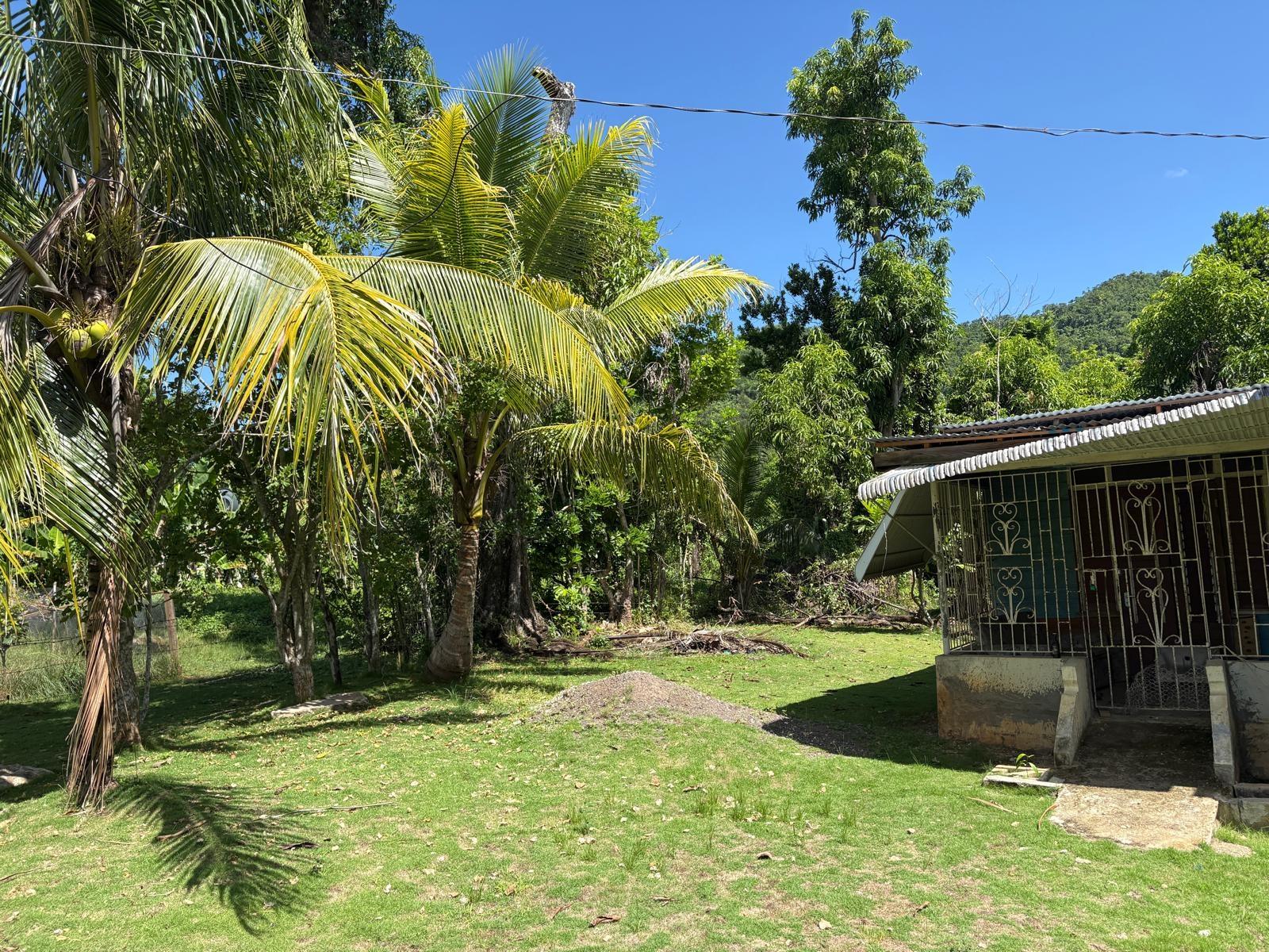 House For Sale: DELVELAND WESTMORELAND, Delve Bridge | $45,000 photo 22