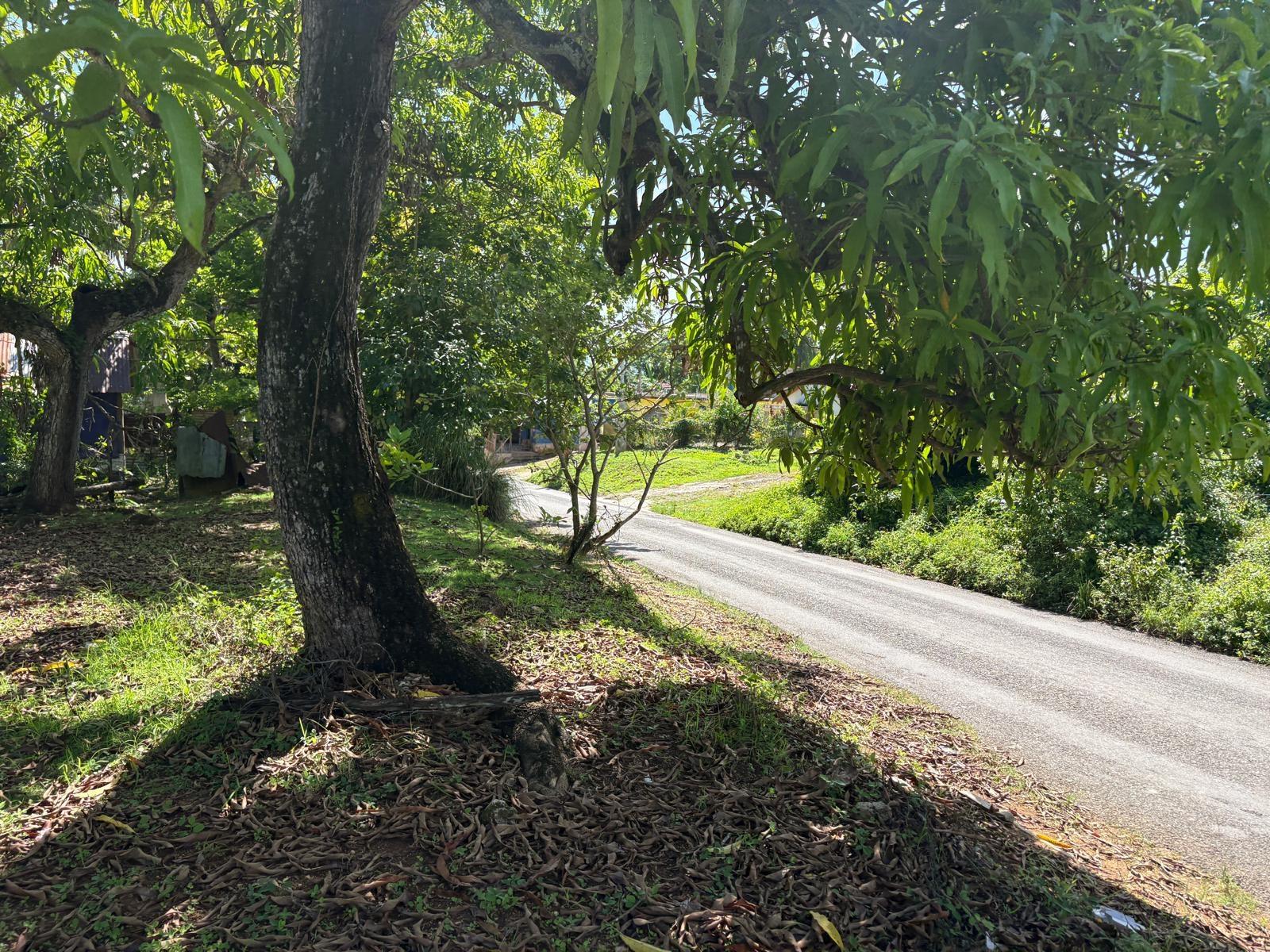 House For Sale: DELVELAND WESTMORELAND, Delve Bridge | $45,000 photo 23