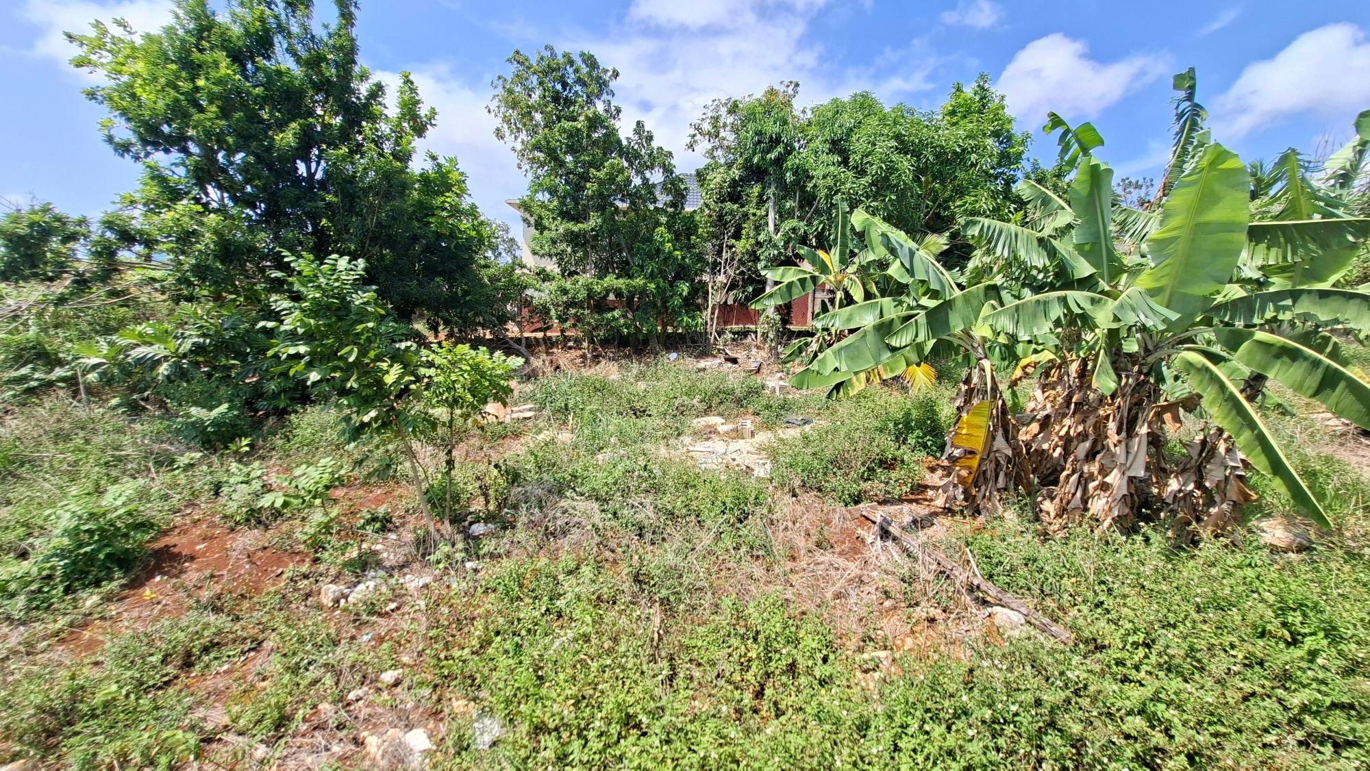 House For Sale: ENFIELD, Browns Town | $25,500,000 photo 16