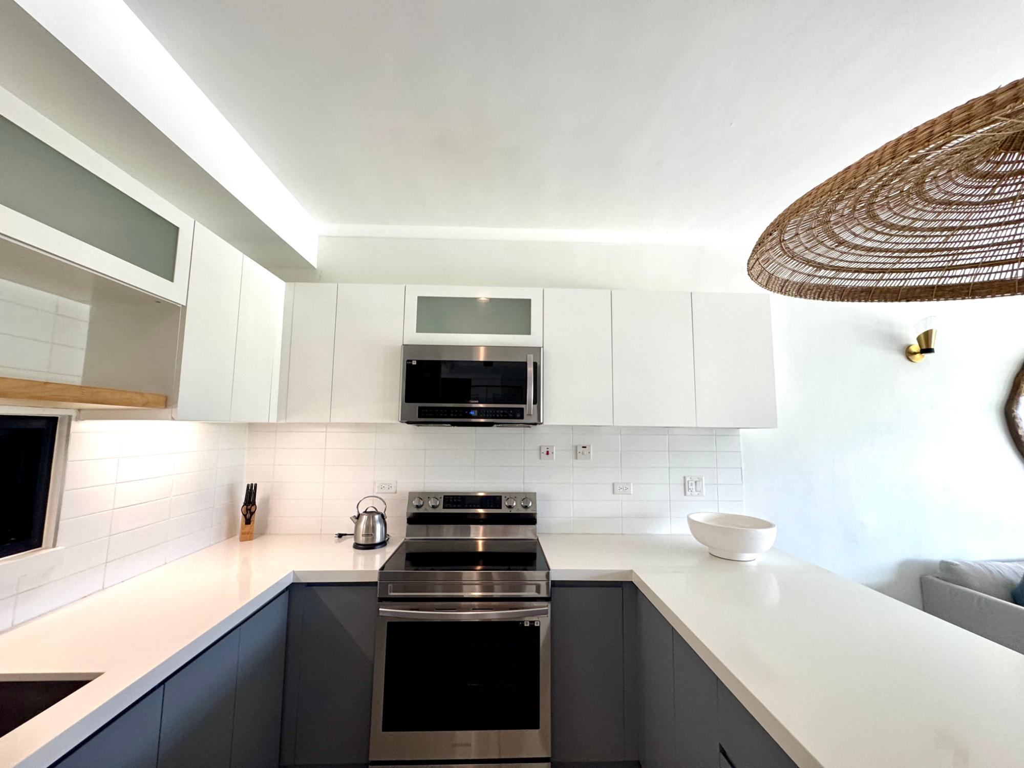 Apartment For Rent: BRAEMAR AVENUE, KINGSTON, Kingston 5 | $1,850 photo 6