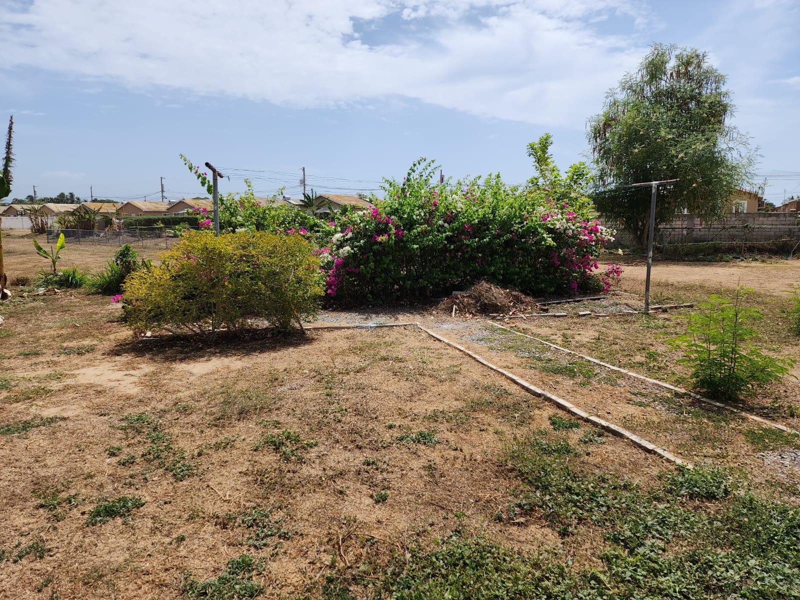 House For Rent: SEAGRAPE CRESCENT, Phoenix Park | $130,000 photo 17