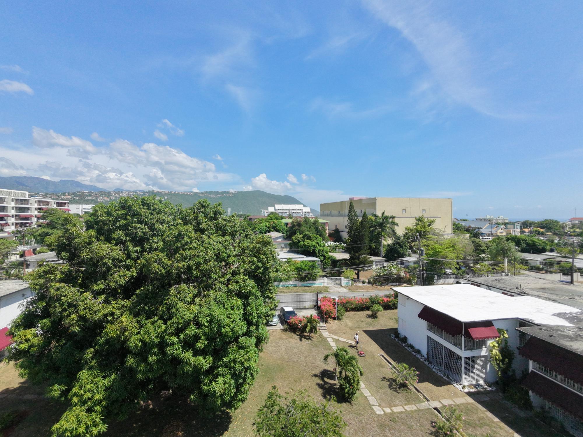 Apartment For Rent: LORDS ROAD, Kingston 6 | $195,000 photo 3