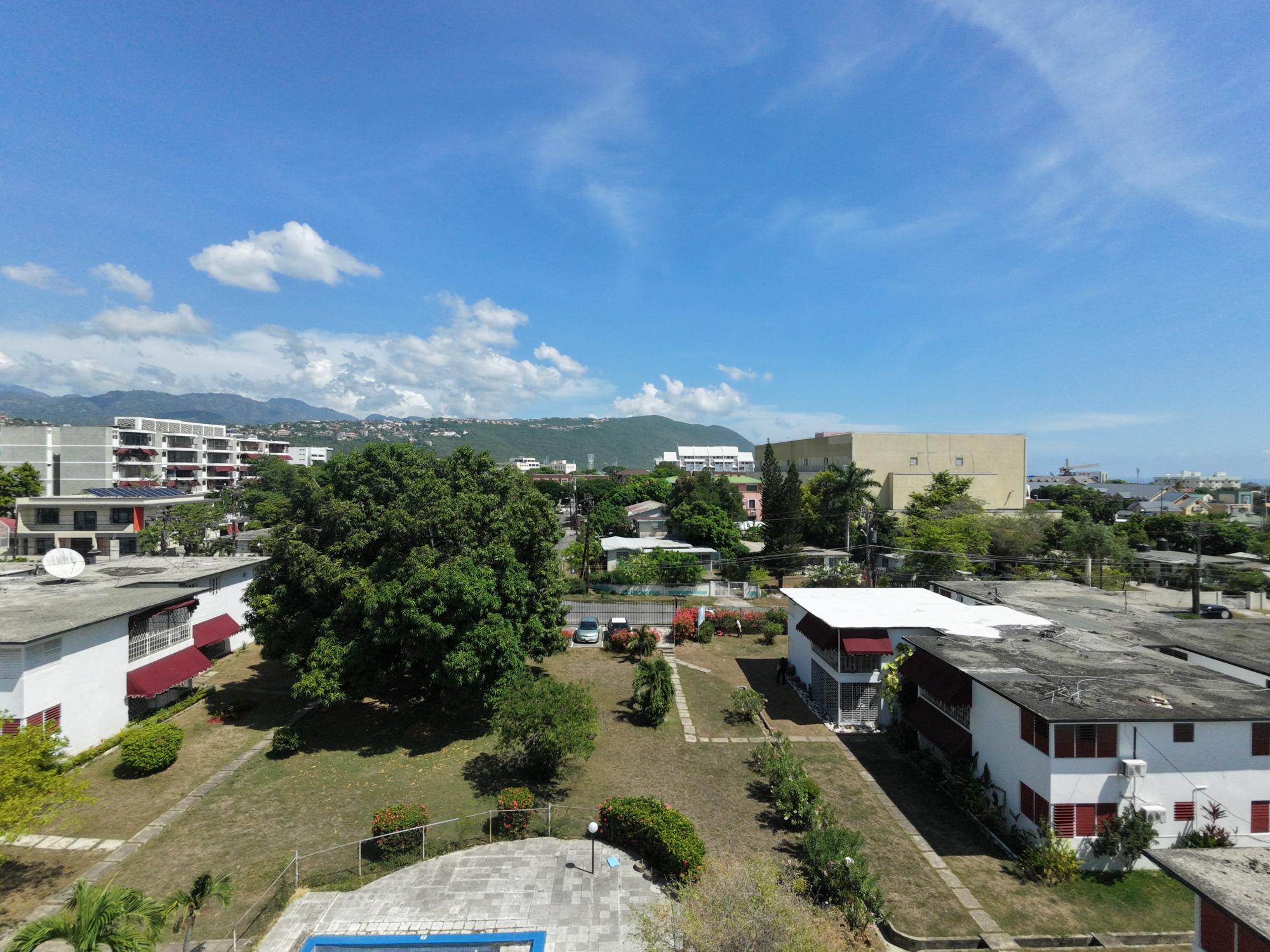 Apartment For Rent: LORDS ROAD, Kingston 6 | $195,000 photo 7