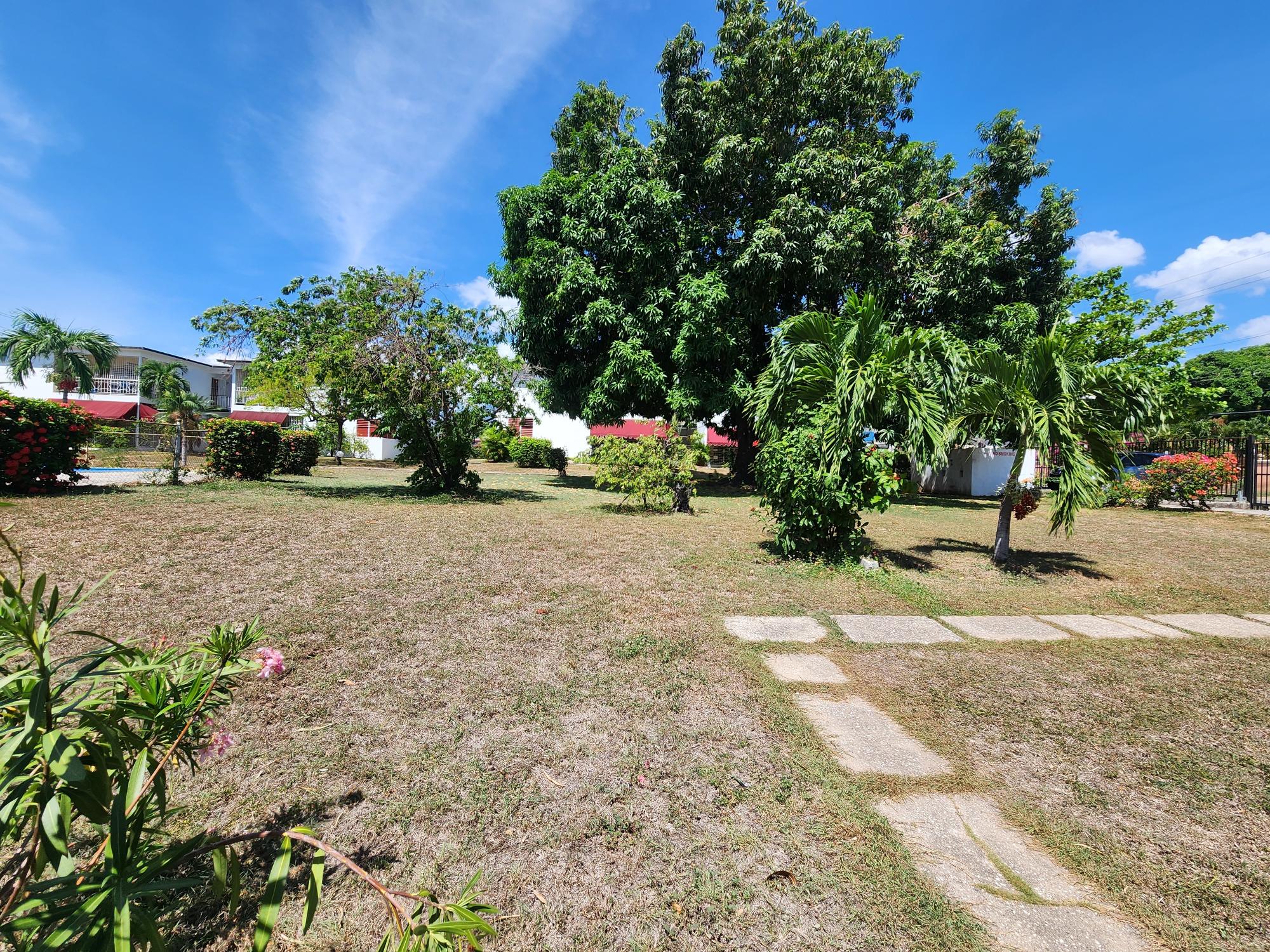 Apartment For Rent: LORDS ROAD, Kingston 6 | $195,000 photo 13