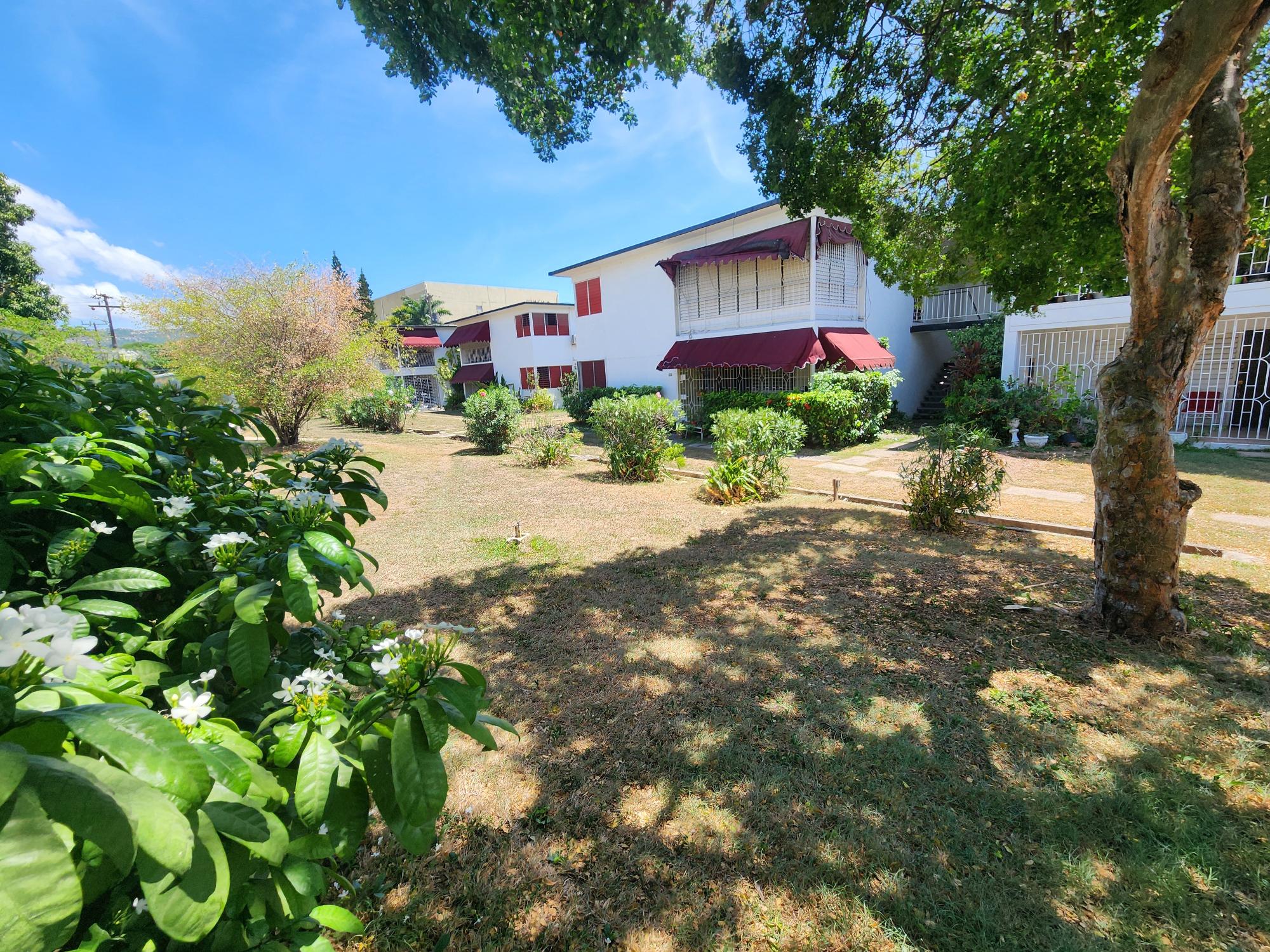 Apartment For Rent: LORDS ROAD, Kingston 6 | $195,000 photo 15