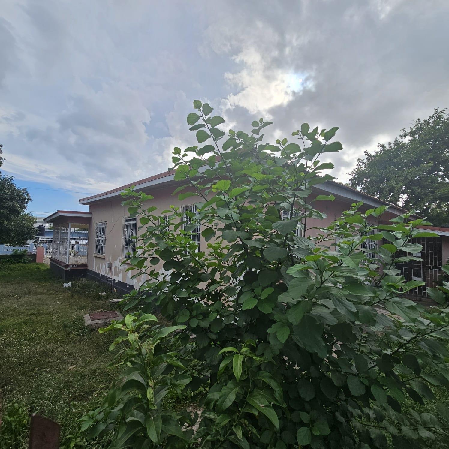 House For Sale: BAYARDO AVENUE, Kingston 10 | $35,000,000 photo 5