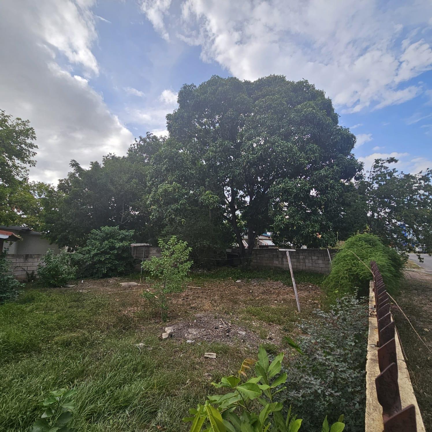 House For Sale: BAYARDO AVENUE, Kingston 10 | $35,000,000 photo 7