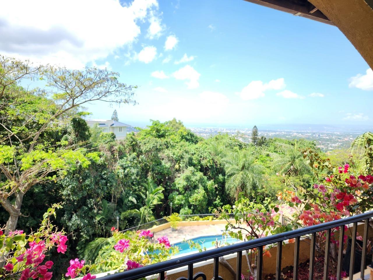 Apartment For Sale: JACKS HILL ROAD, Kingston 6 | $575,000 photo 3