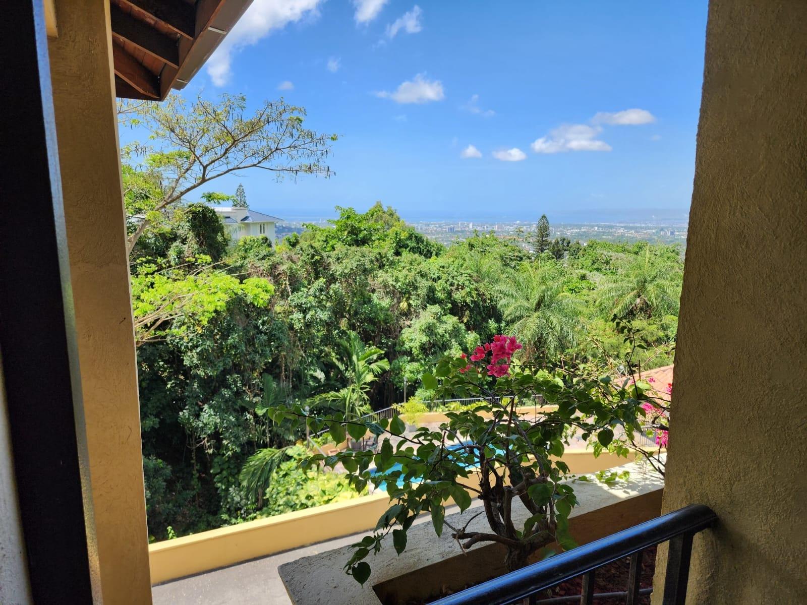Apartment For Sale: JACKS HILL ROAD, Kingston 6 | $575,000 photo 7