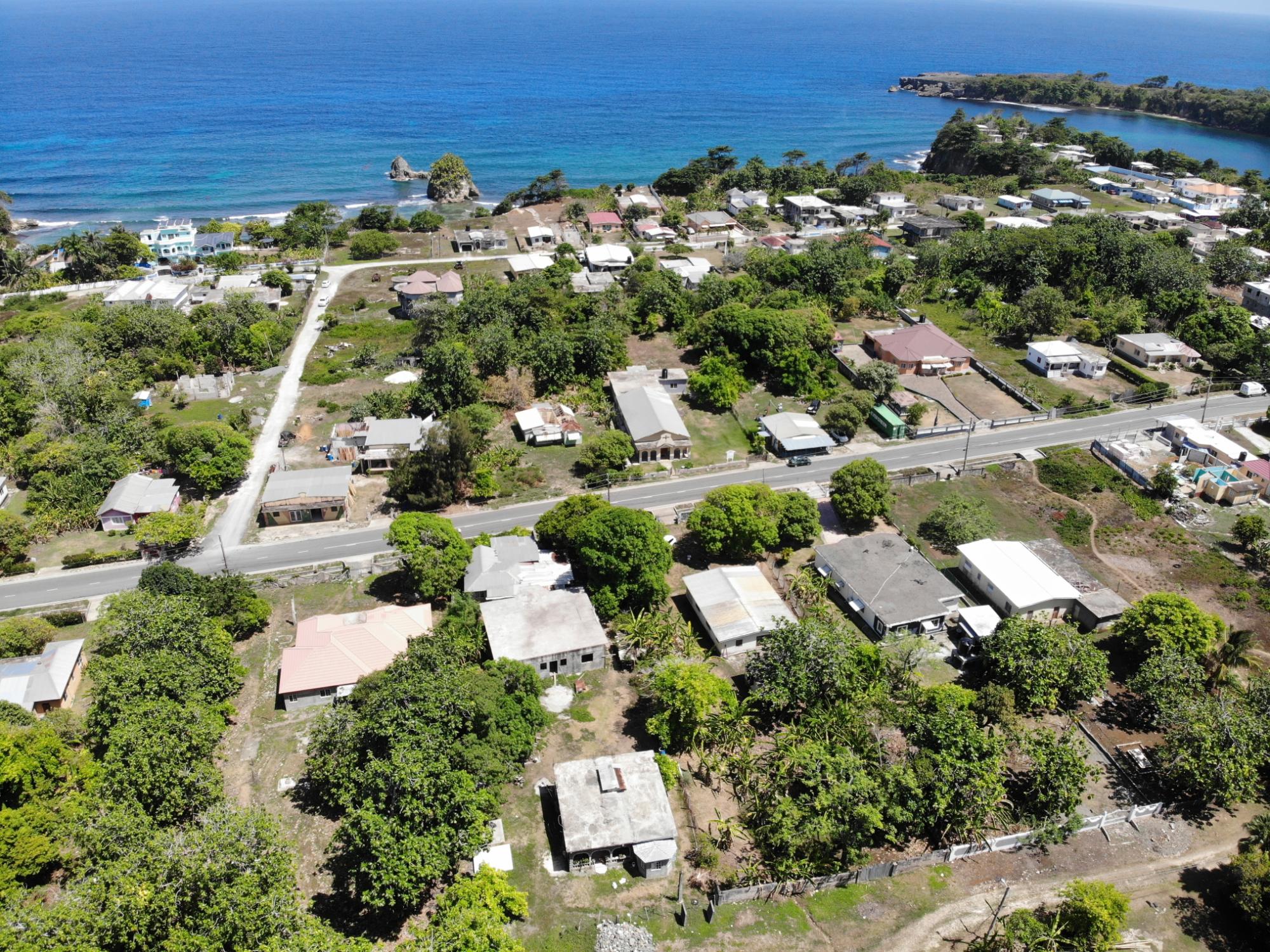 House For Sale: LONG ROAD, Manchioneal | $24,650,000