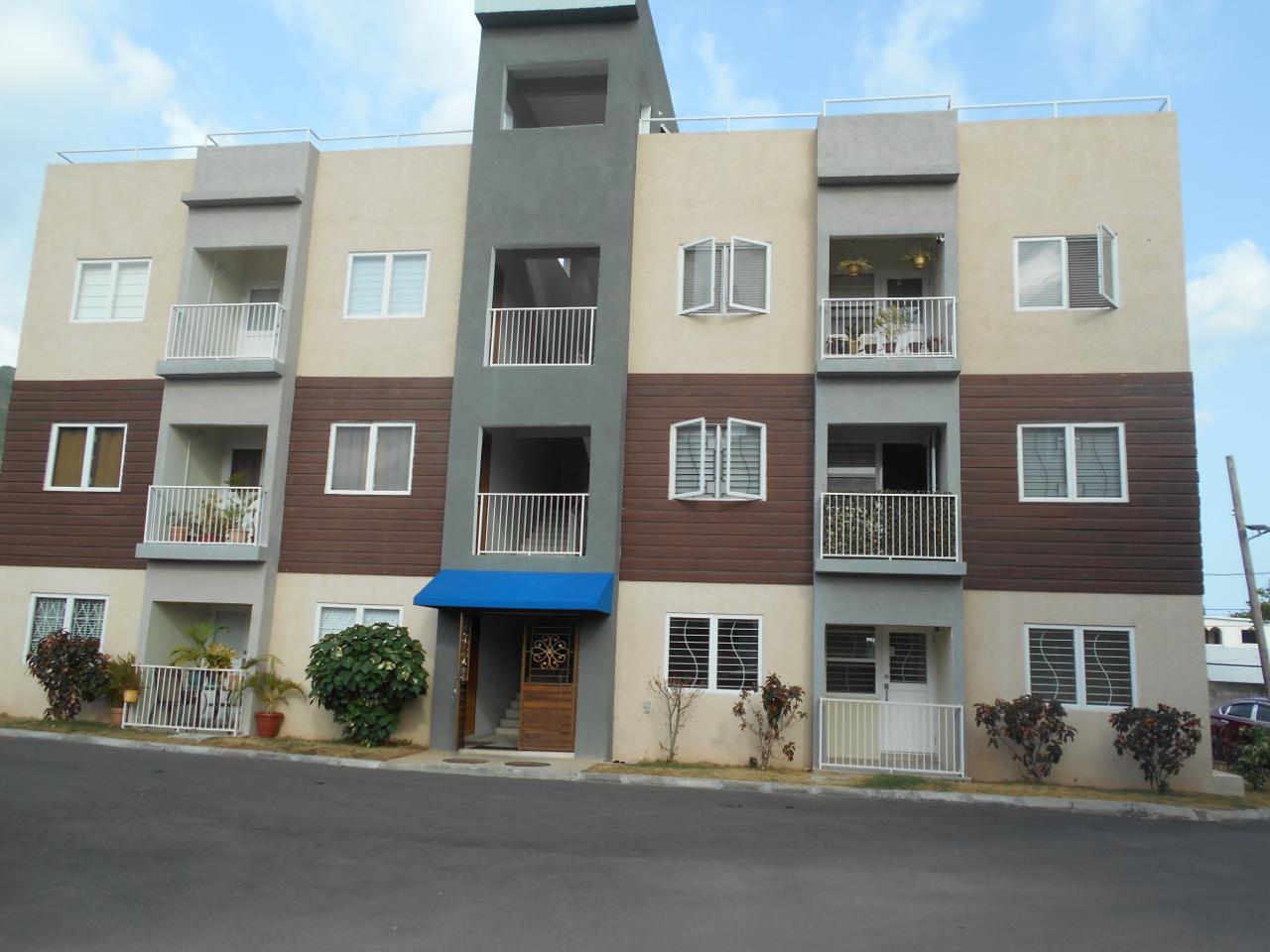 Apartment For Rent: BELAIR AVENUE, Kingston 3 | $150,000 photo 19