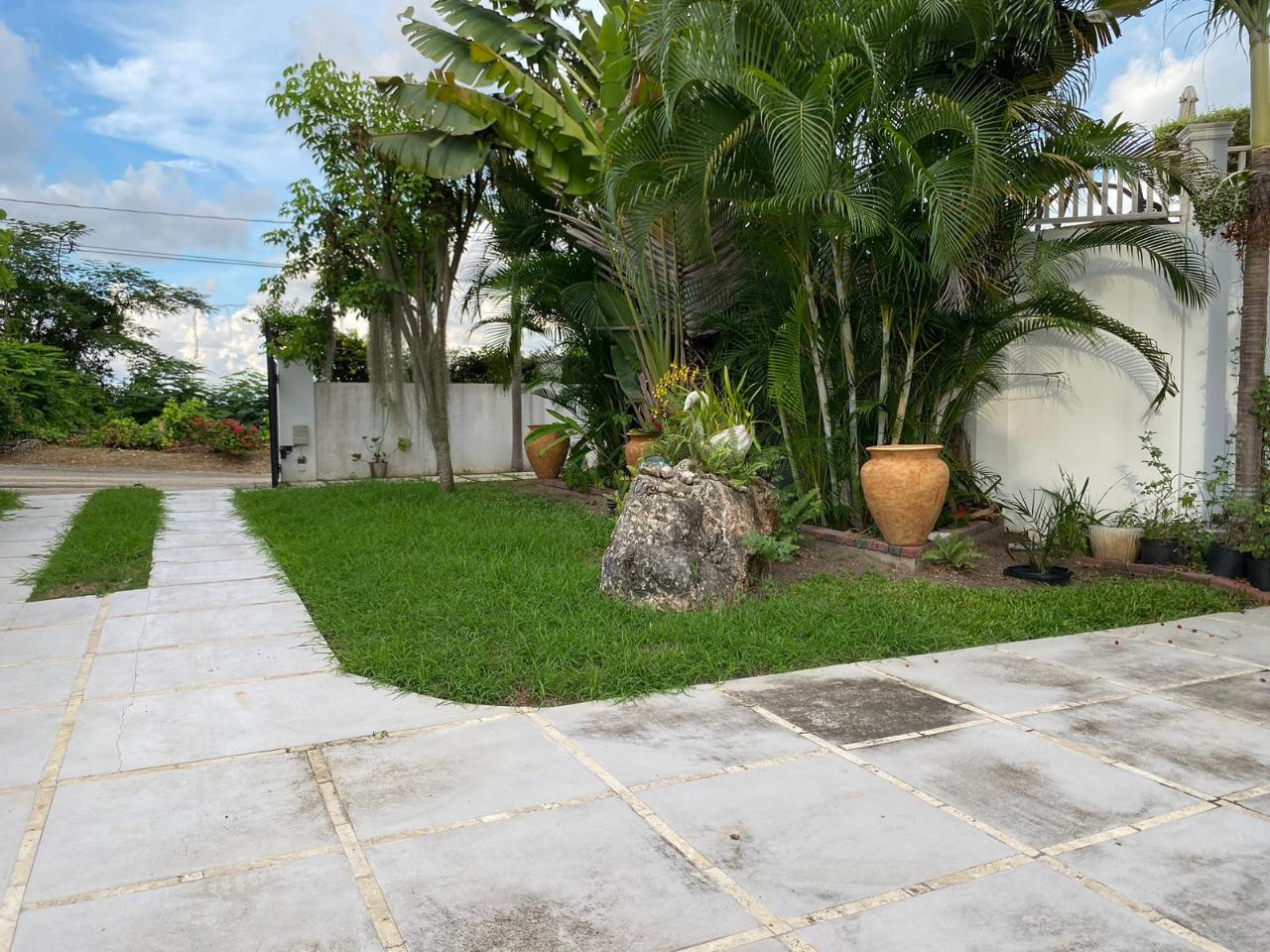 Apartment For Rent: SPRING GARDEN, ST. JAMES, Spring Garden | $1,500 photo 12