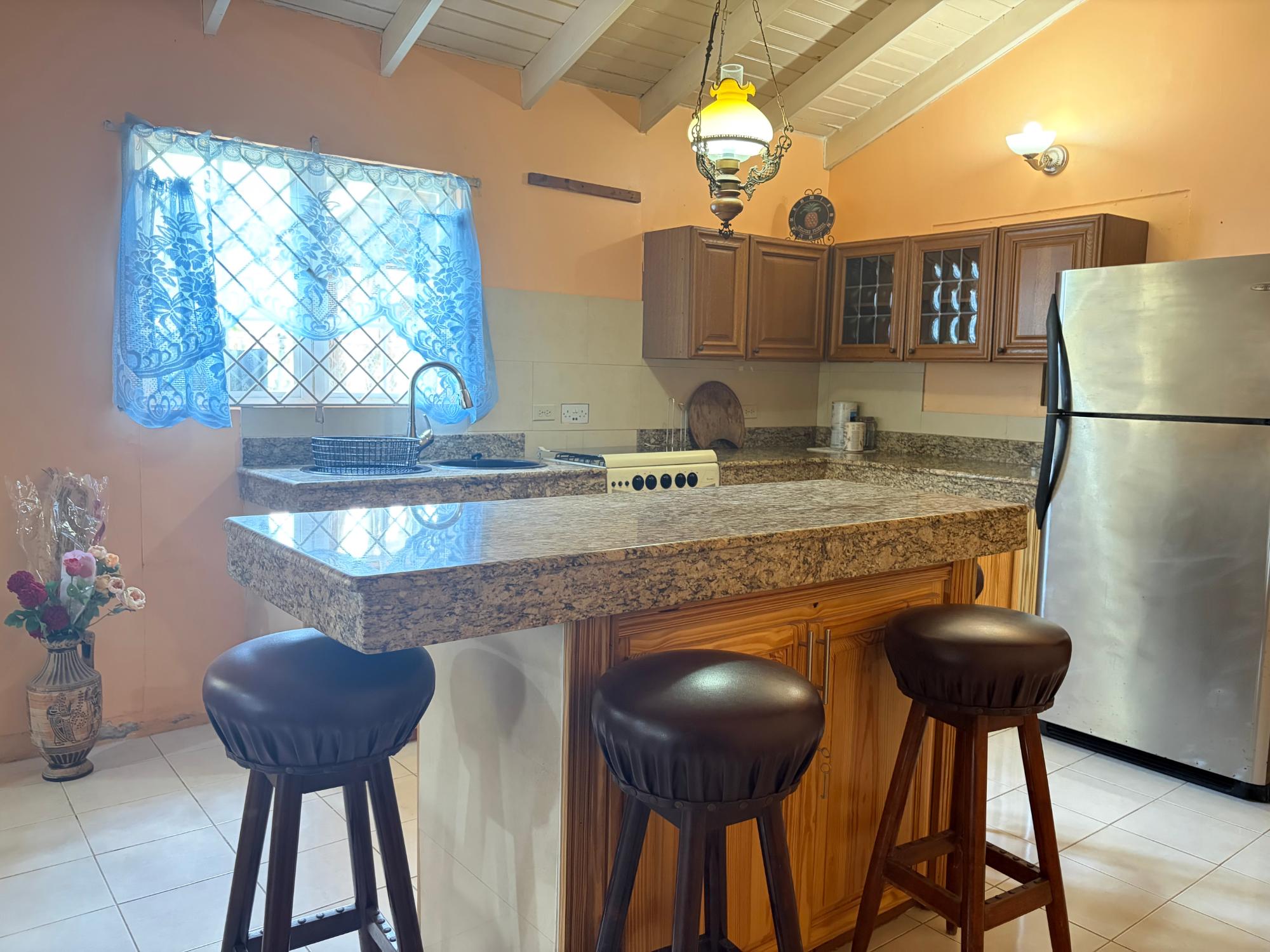 Apartment For Rent: TIDE PLACE, BOGUE VILLAGE, Montego Bay | $130,000 photo 13
