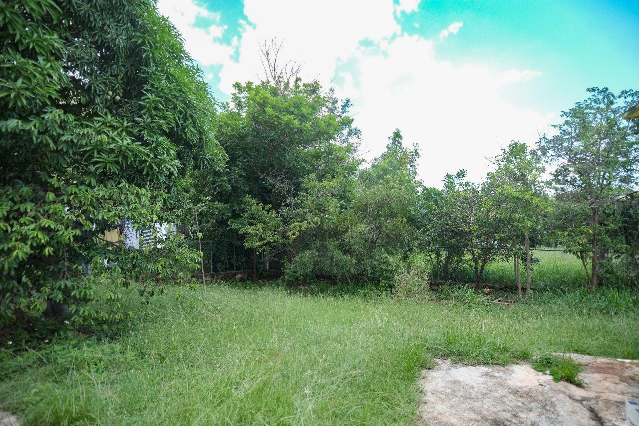 House For Sale: HILL VIEW TERRACE, Spur Tree | $21,000,000 photo 6