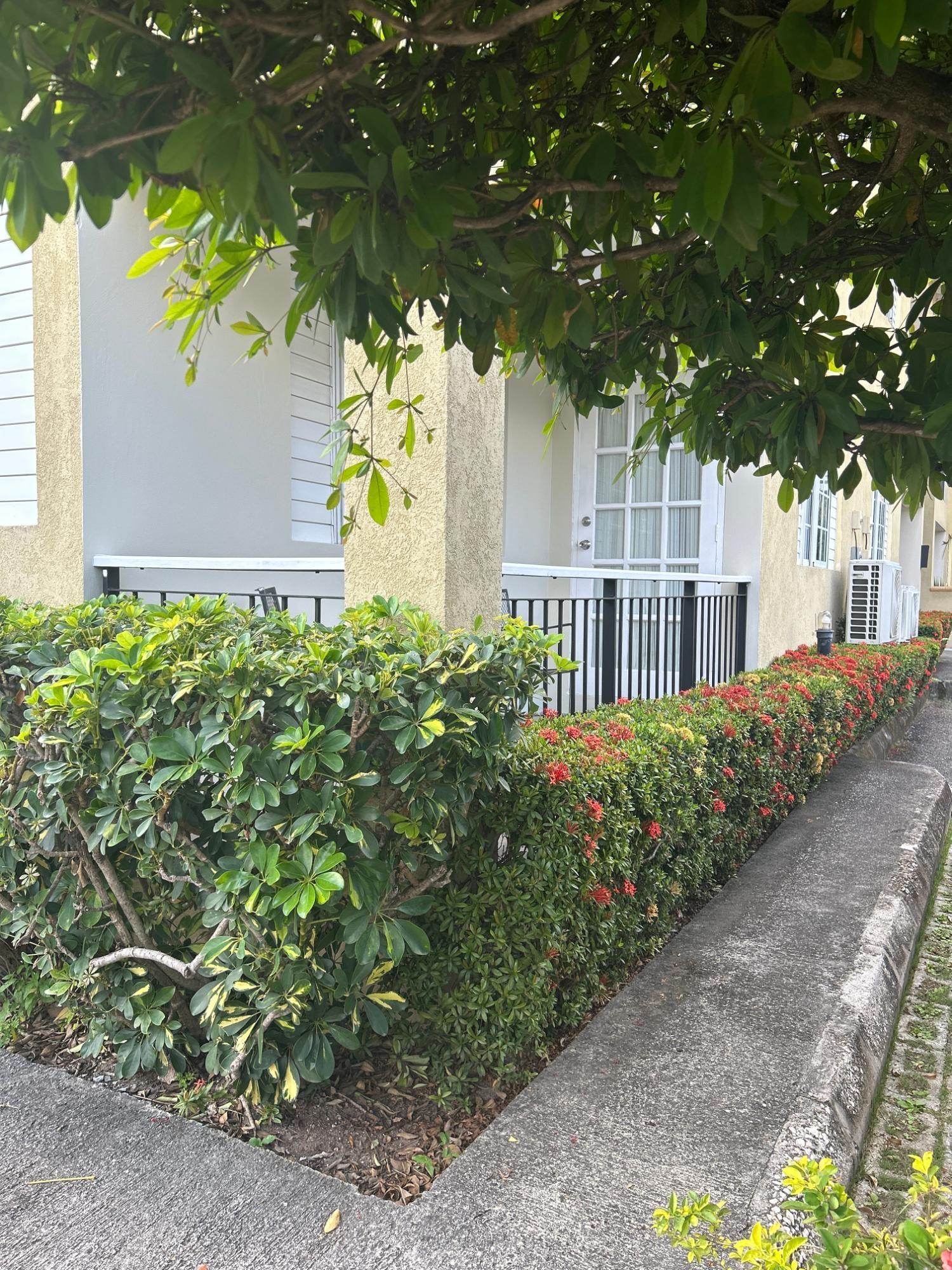 Apartment For Rent: WELLINGTON DRIVE, Kingston 6 | $196,000 photo 22