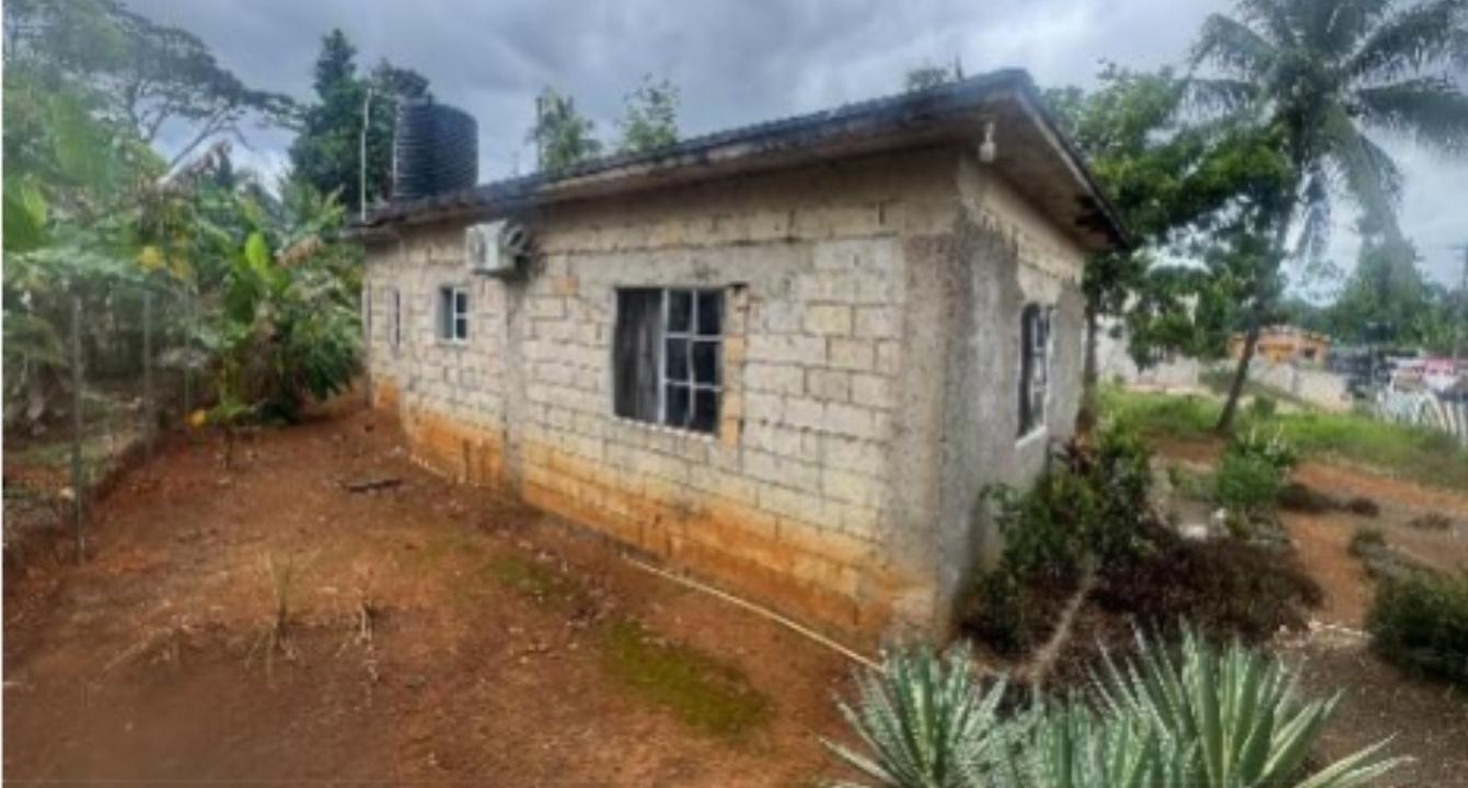 House For Sale: TREADWAYS ST. CATHERINE, Bog Walk | $16,000,000 photo 6