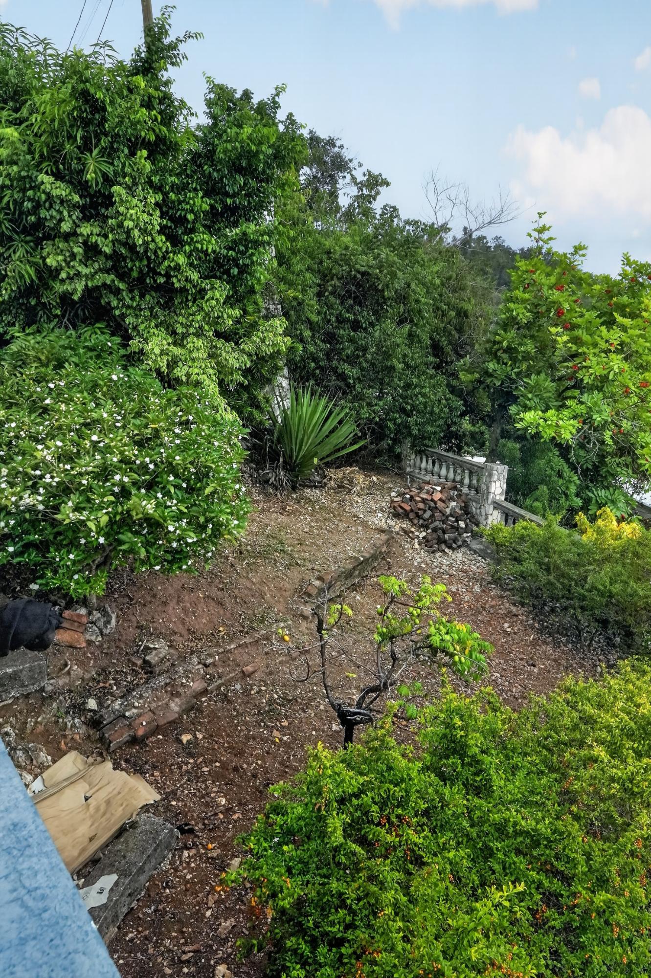 House For Sale: ROYAL MOUNT AVENUE, Red Hills | $60,000,000 photo 12