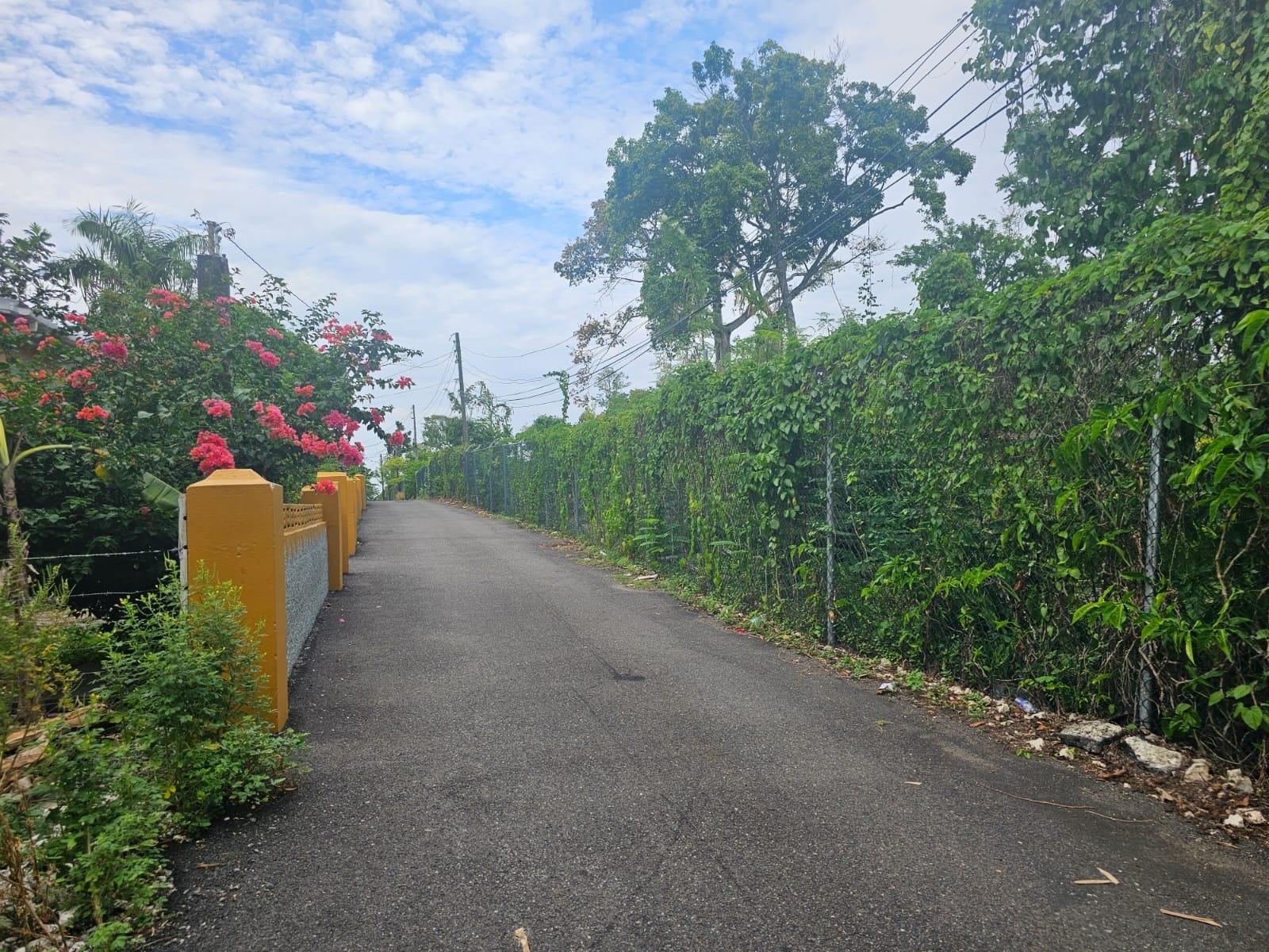 House For Sale: LIBERTY CASTLE, ORACABESS, Oracabessa | $25,000,000 photo 5