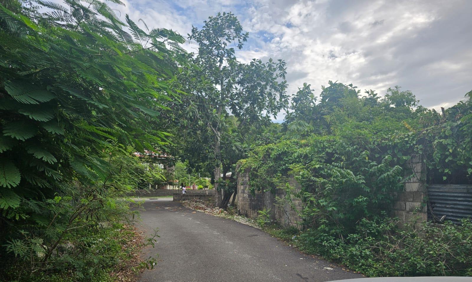 House For Sale: LIBERTY CASTLE, ORACABESS, Oracabessa | $25,000,000 photo 6