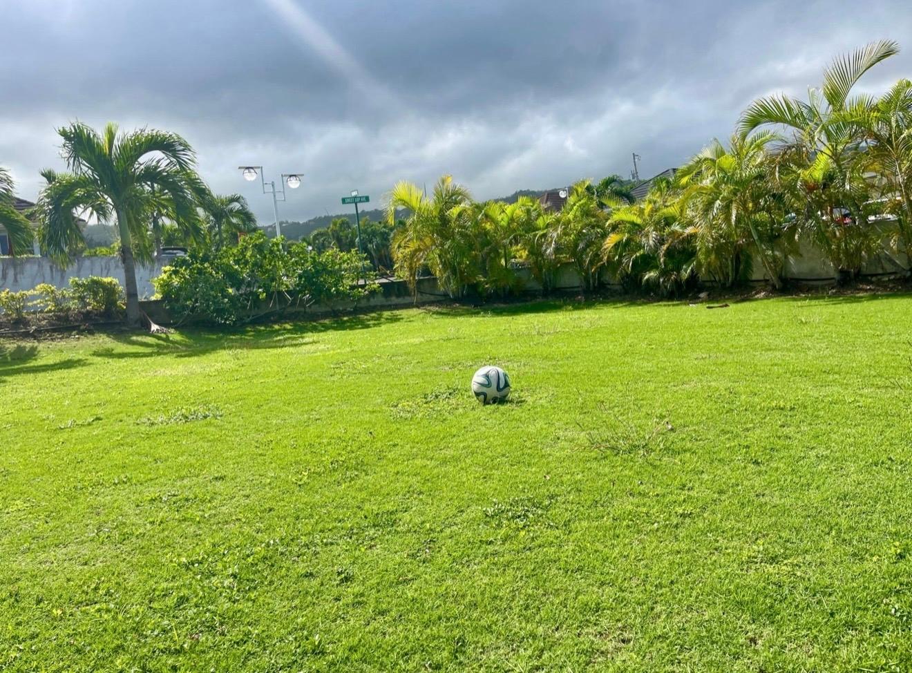 House For Rent: SWEETSOP AVENUE, RICHMOND, St. Ann@~apos;s Bay | $1,600 photo 16