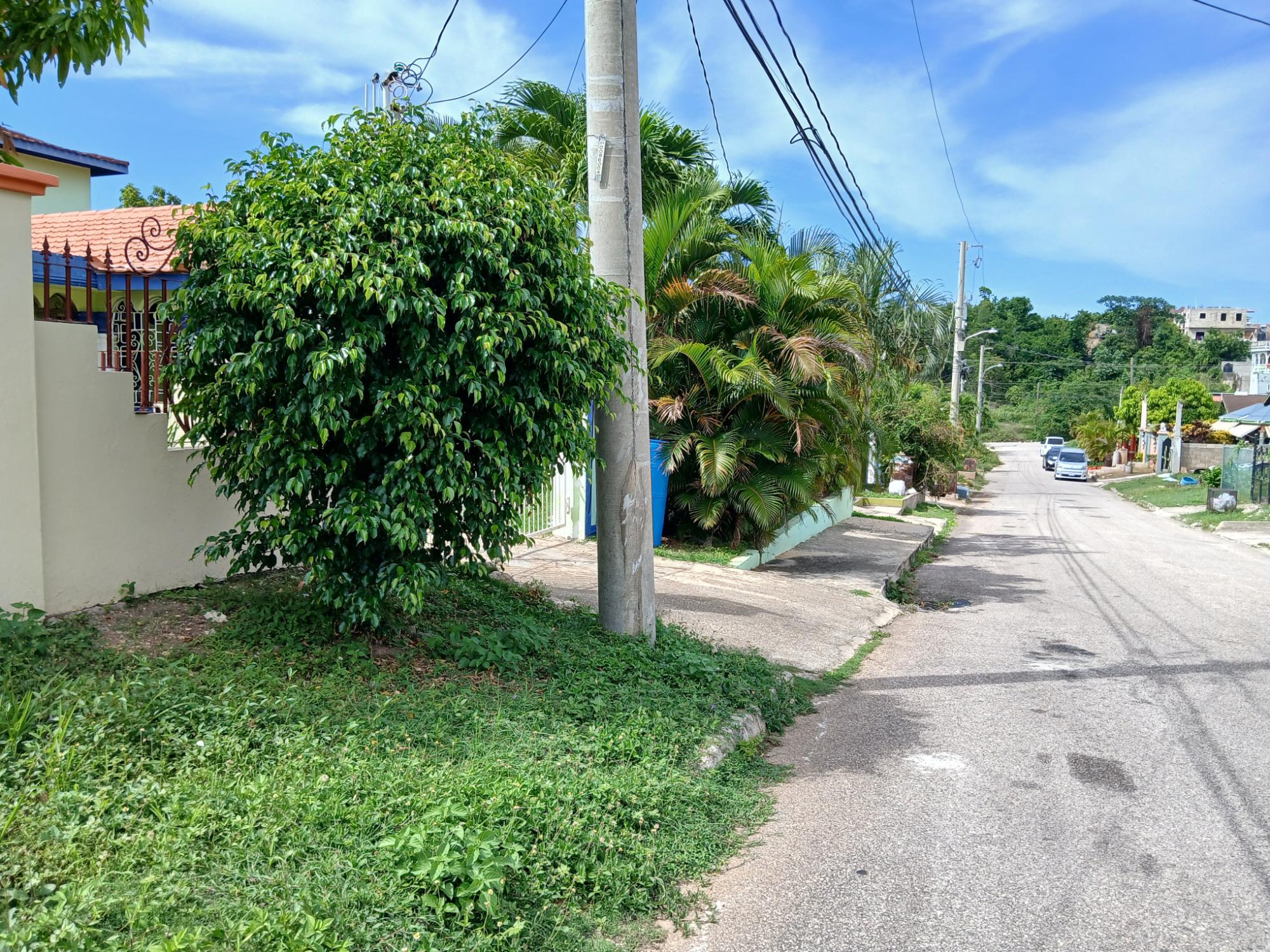Apartment For Rent: CEDAR STREET, RHYNE PARK, Rose Hall | $100,000 photo 4