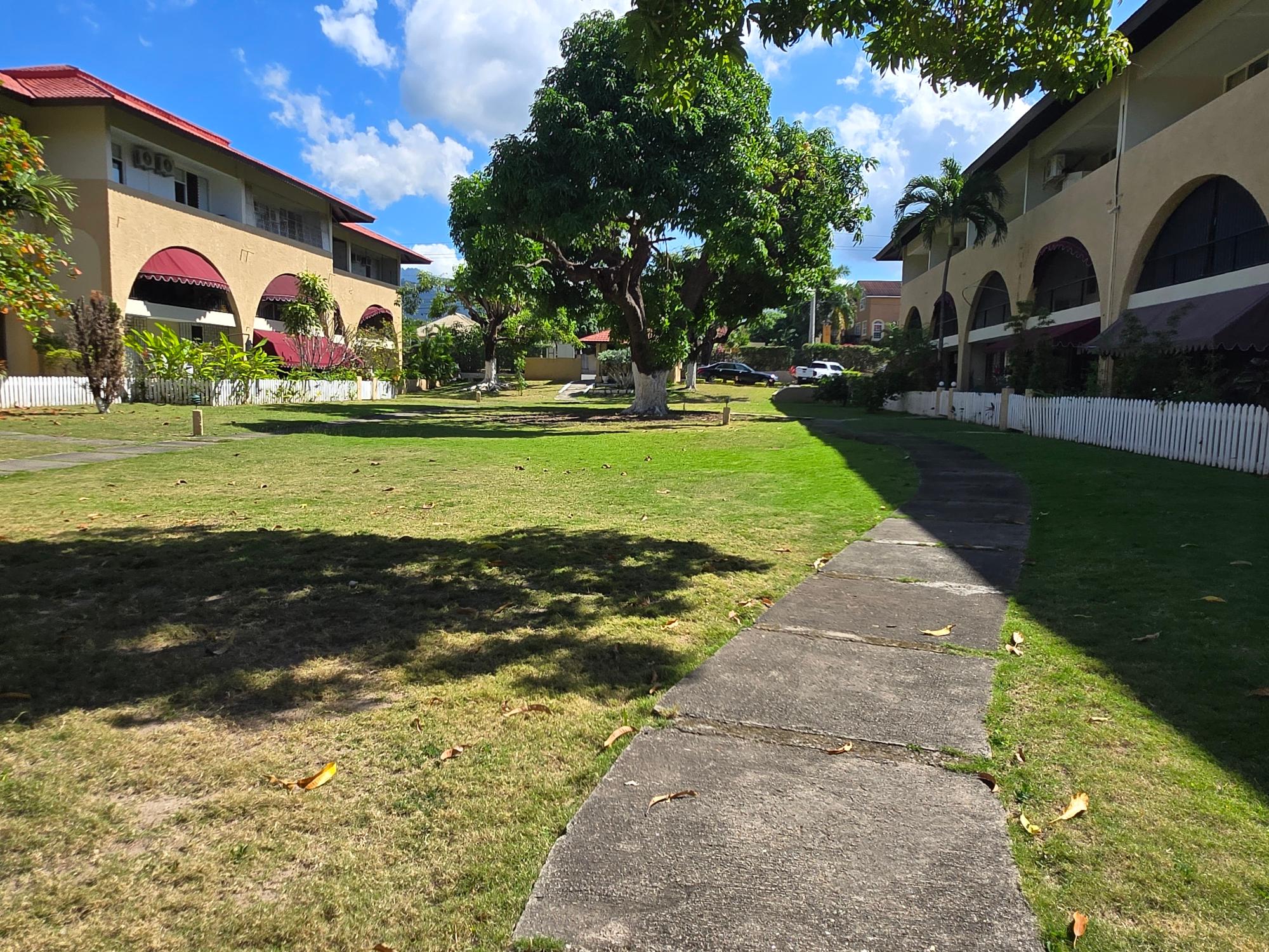 Apartment For Rent: HOPE ROAD, Kingston 6 | $1,150 photo 11