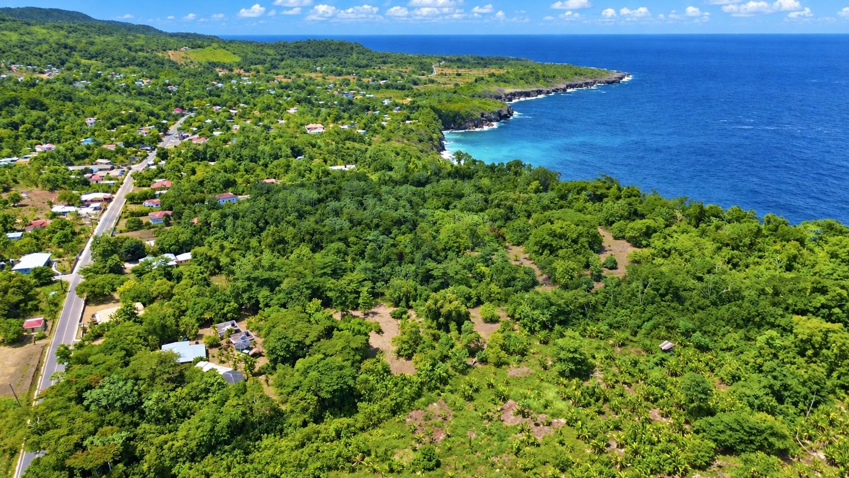 House For Sale: LOWER FAIR PROSPECT, Fair Prospect | $2,950,000 photo 4