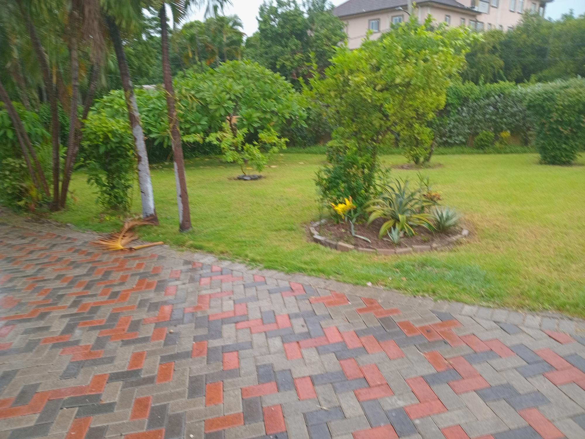 House For Rent: NICKS AVENUE, Kingston 6 | $170,000 photo 14