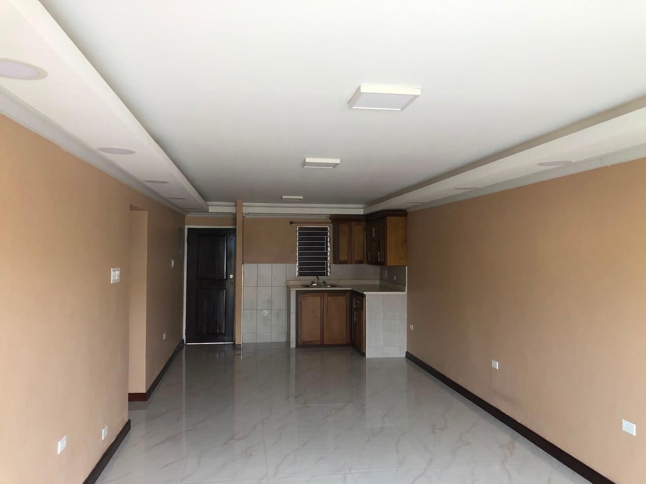 Apartment For Rent: DUNROBIN ACRES, Kingston 10 | $1,200 photo 6
