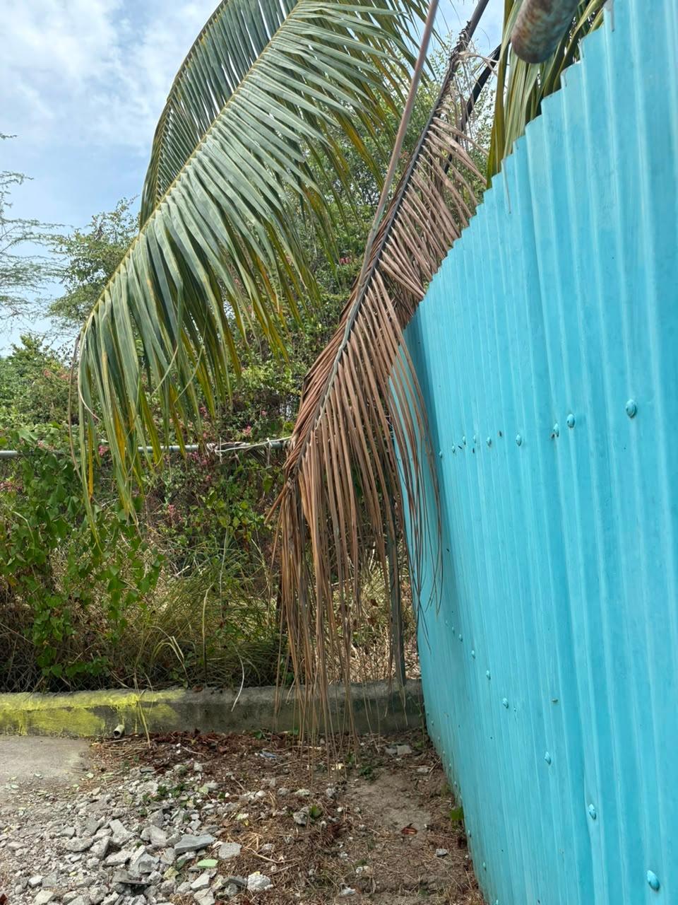 House For Rent: APOLLA DRIVE, HORIZON PAR, Horizon Park | $70,000 photo 17