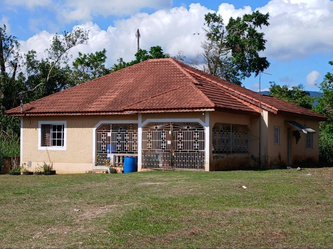 House For Sale: BYNDLOSS, Linstead | $18,500,000