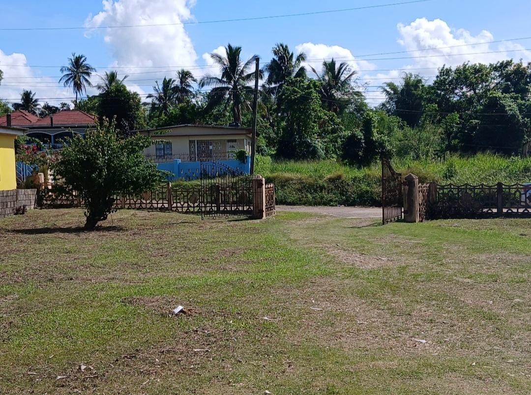 House For Sale: BYNDLOSS, Linstead | $18,500,000 photo 3