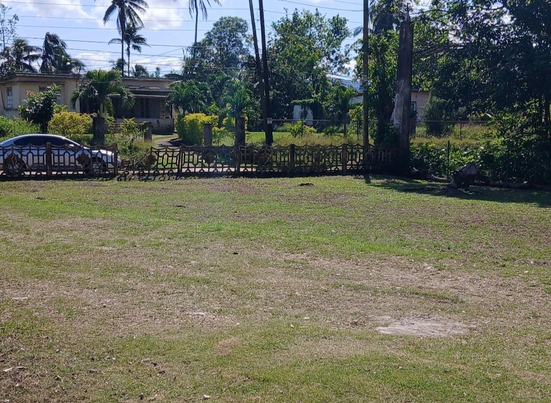 House For Sale: BYNDLOSS, Linstead | $18,500,000 photo 4