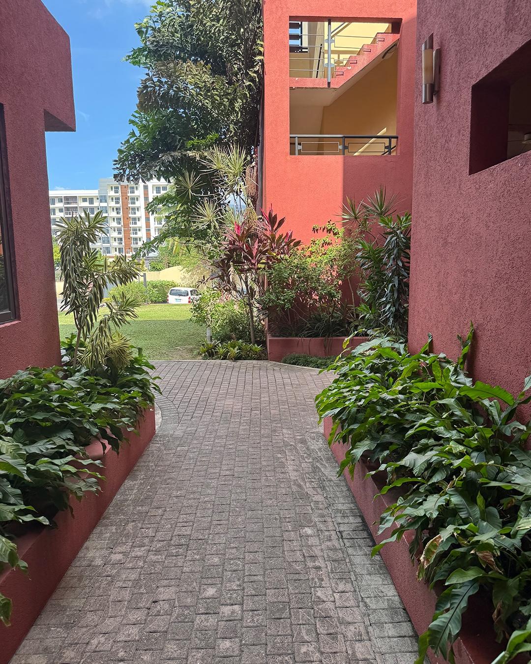 Apartment For Rent: MUSGRAVE AVENUE, Kingston 5 | $260,000 photo 21