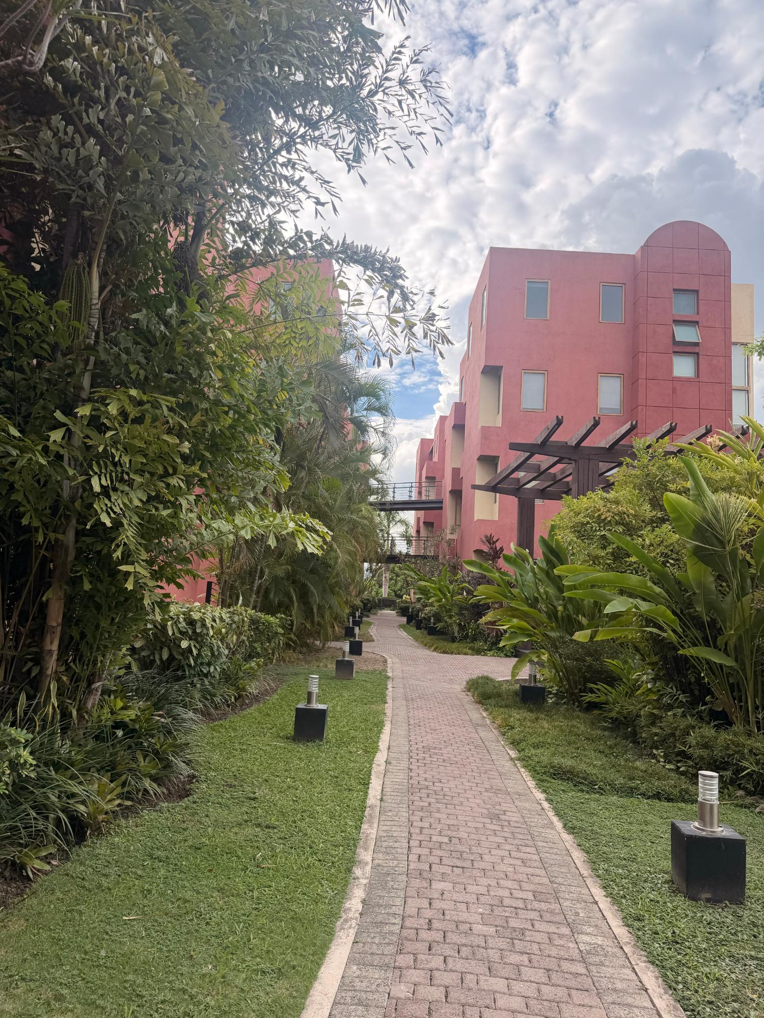 Apartment For Rent: MUSGRAVE AVENUE, Kingston 5 | $260,000 photo 22