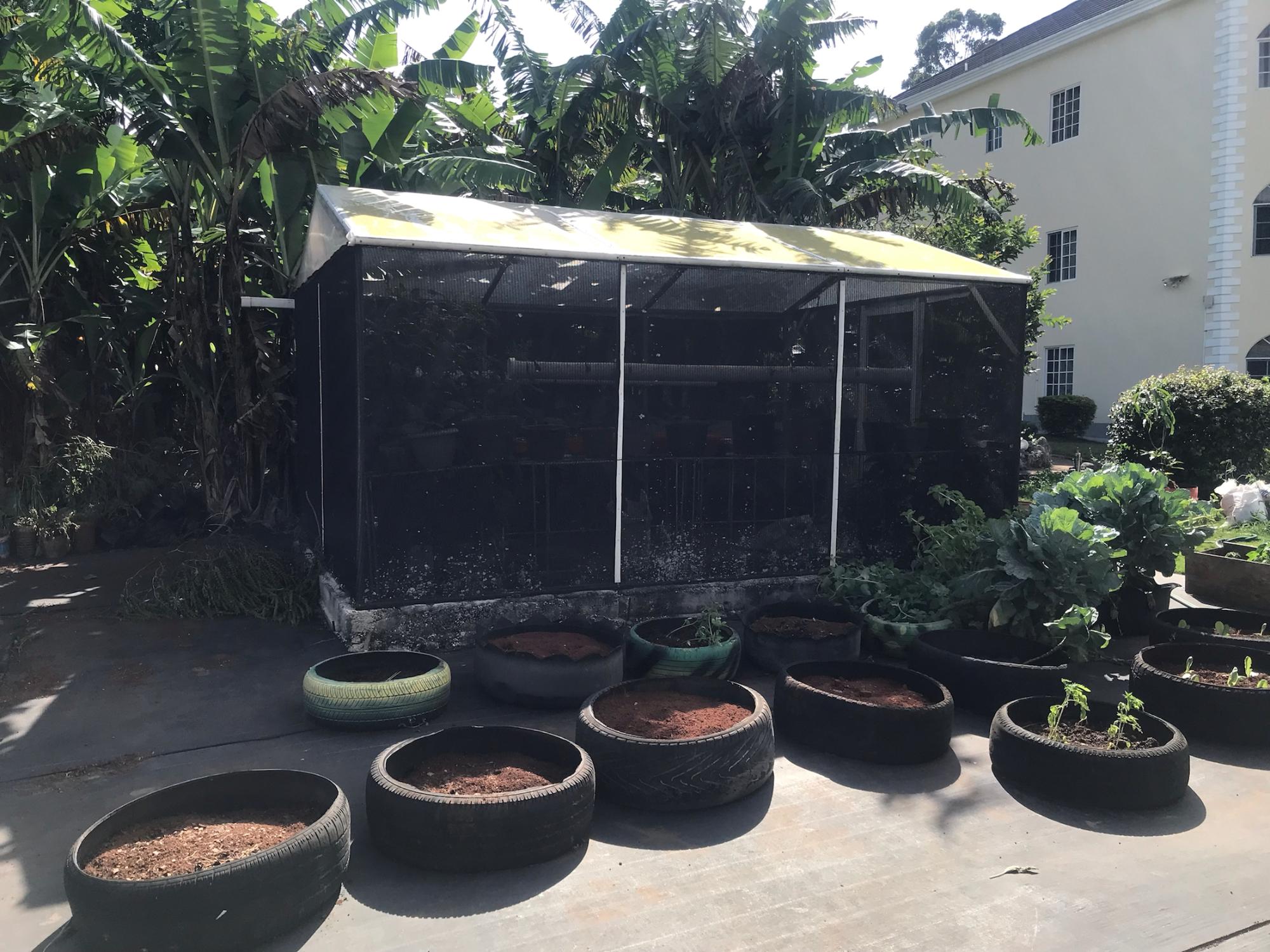 House For Rent: CEDAR GARDENS, Mandeville | $150,000 photo 9