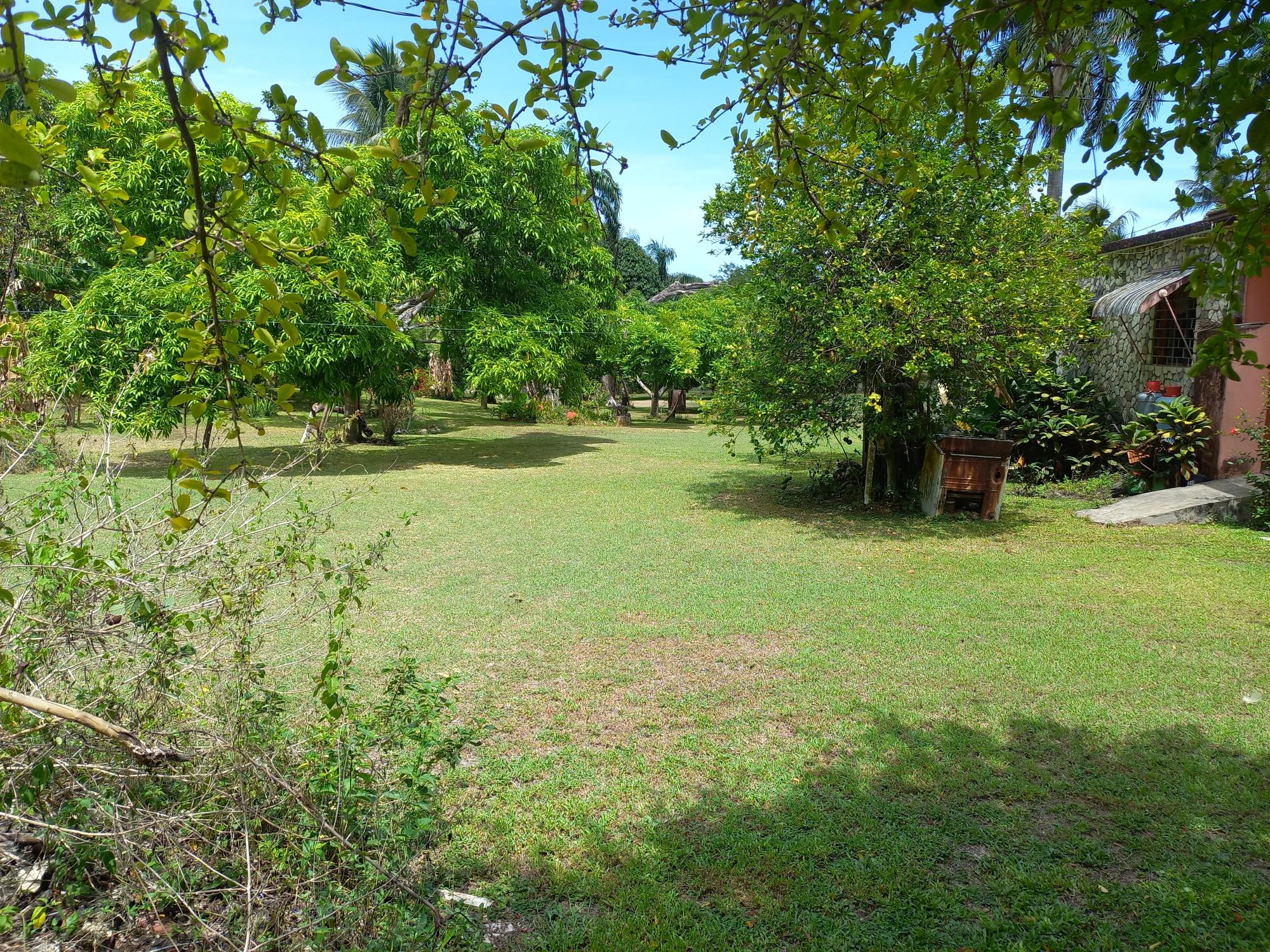 House For Sale: TOWER HILL, TOWER ISLE, Tower Isle | $900,000 photo 3