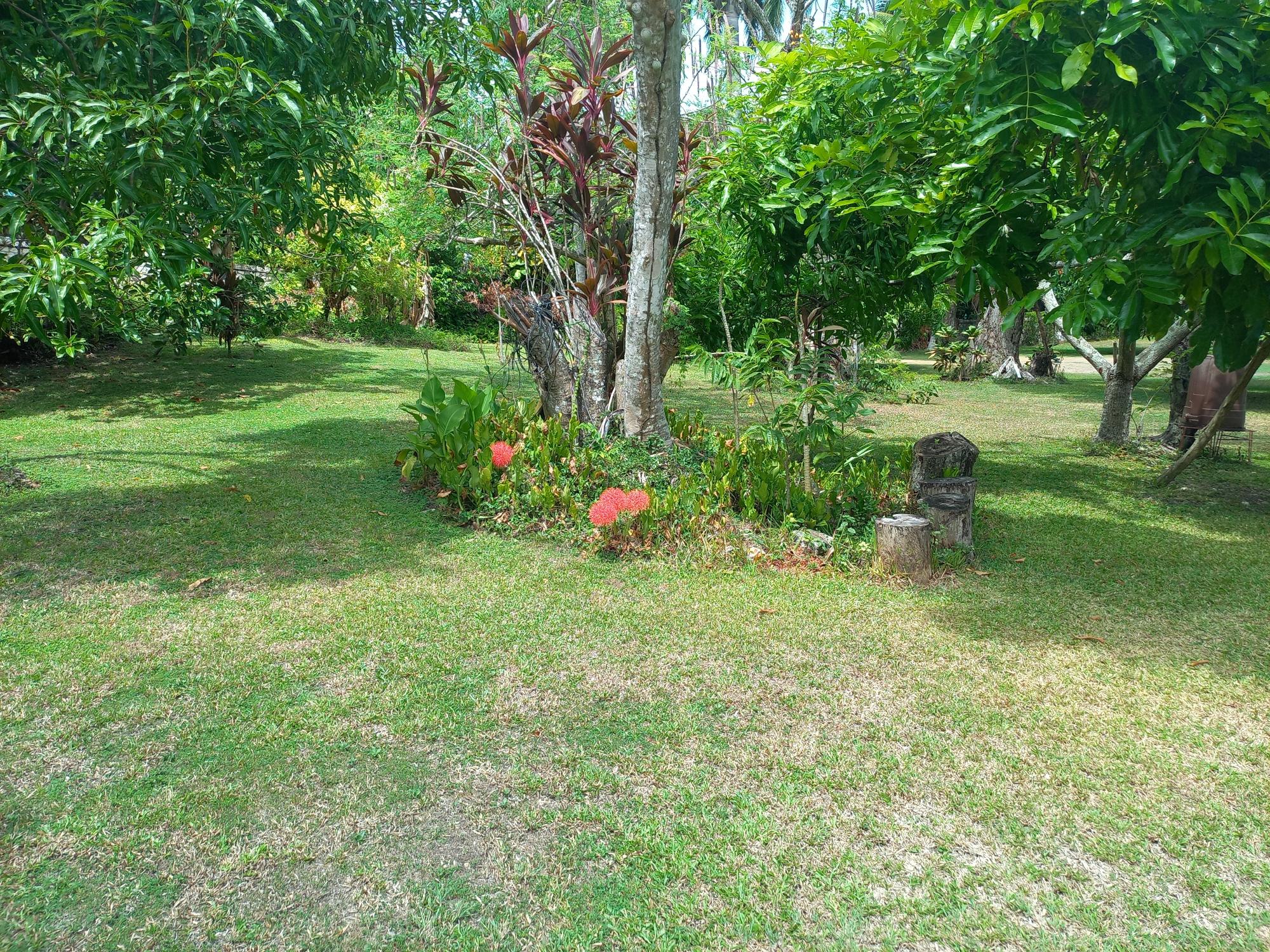 House For Sale: TOWER HILL, TOWER ISLE, Tower Isle | $900,000 photo 8