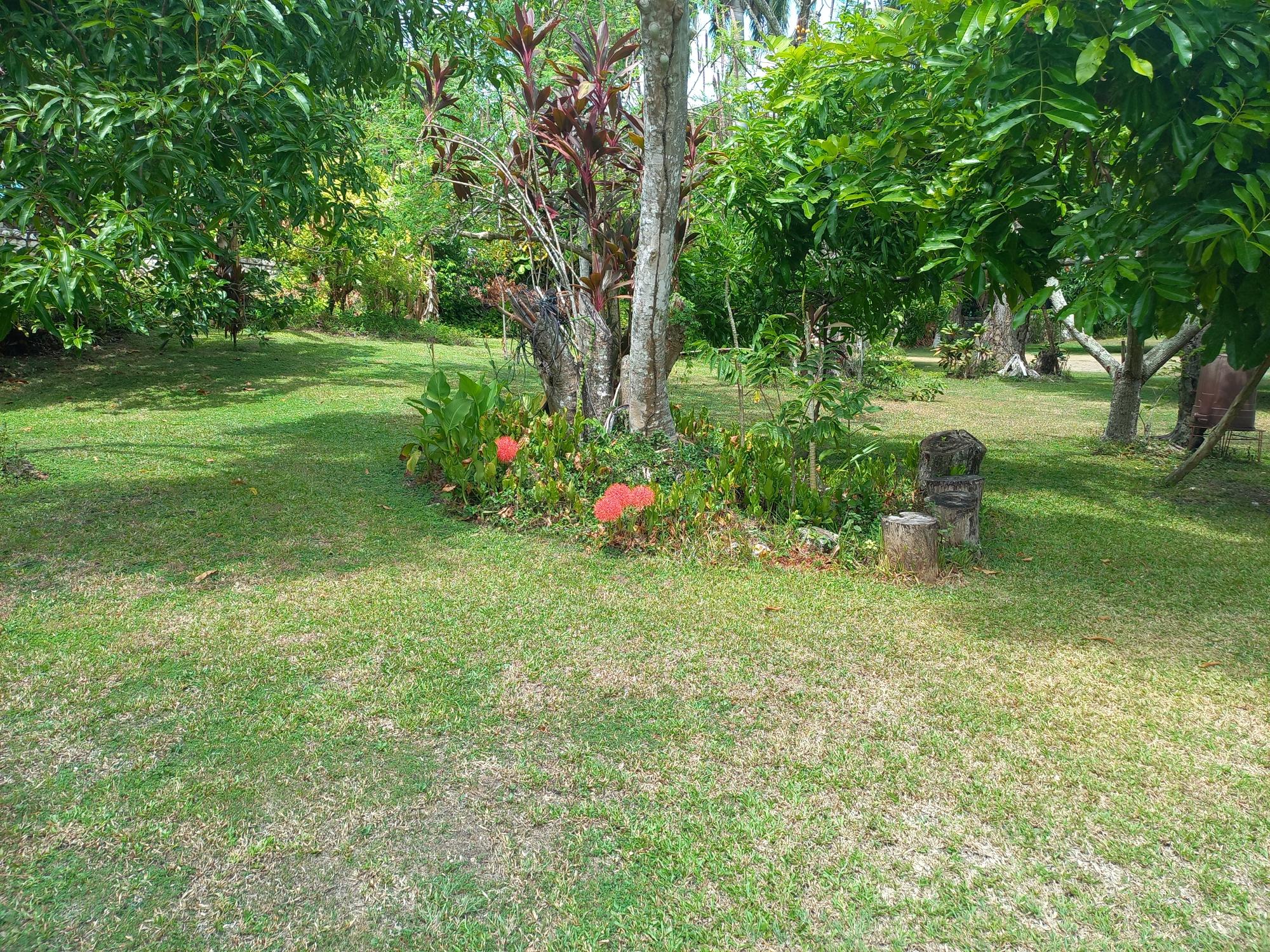 House For Sale: TOWER HILL, TOWER ISLE, Tower Isle | $900,000 photo 9